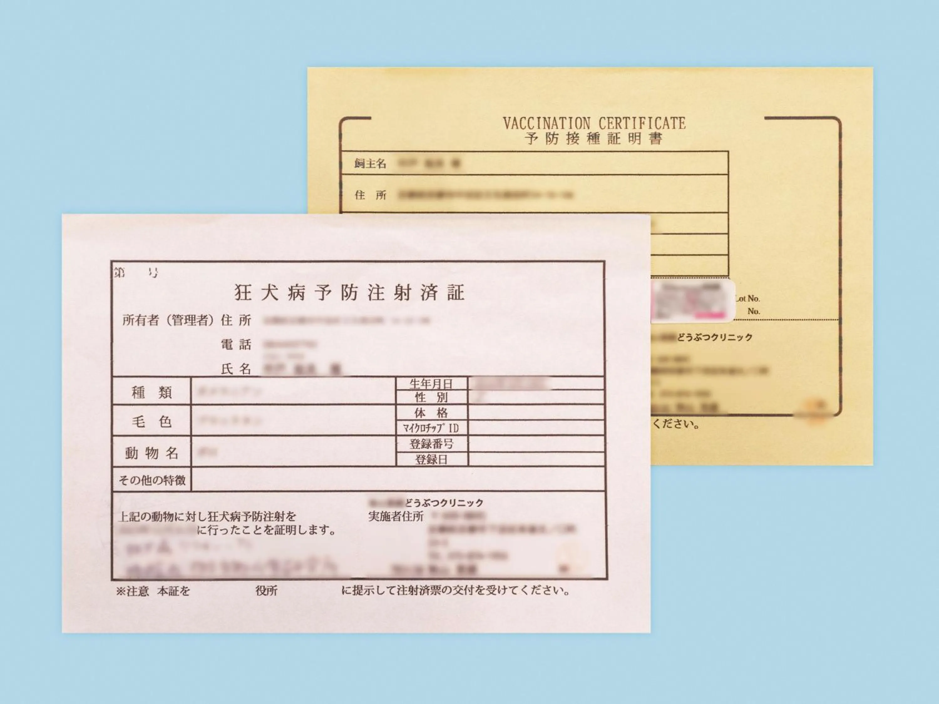 Other in hotel anddoggy Kyoto Nijo