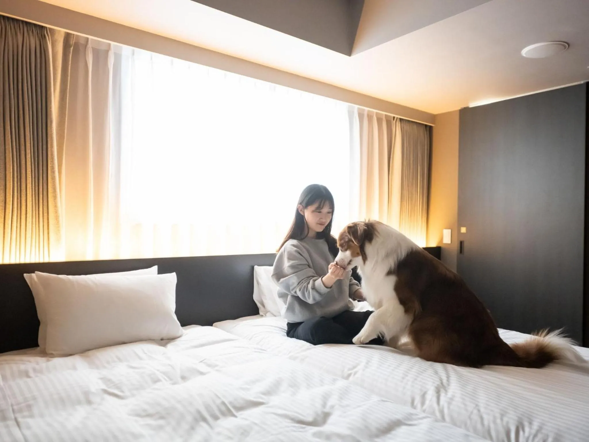 Bed in hotel anddoggy Kyoto Nijo