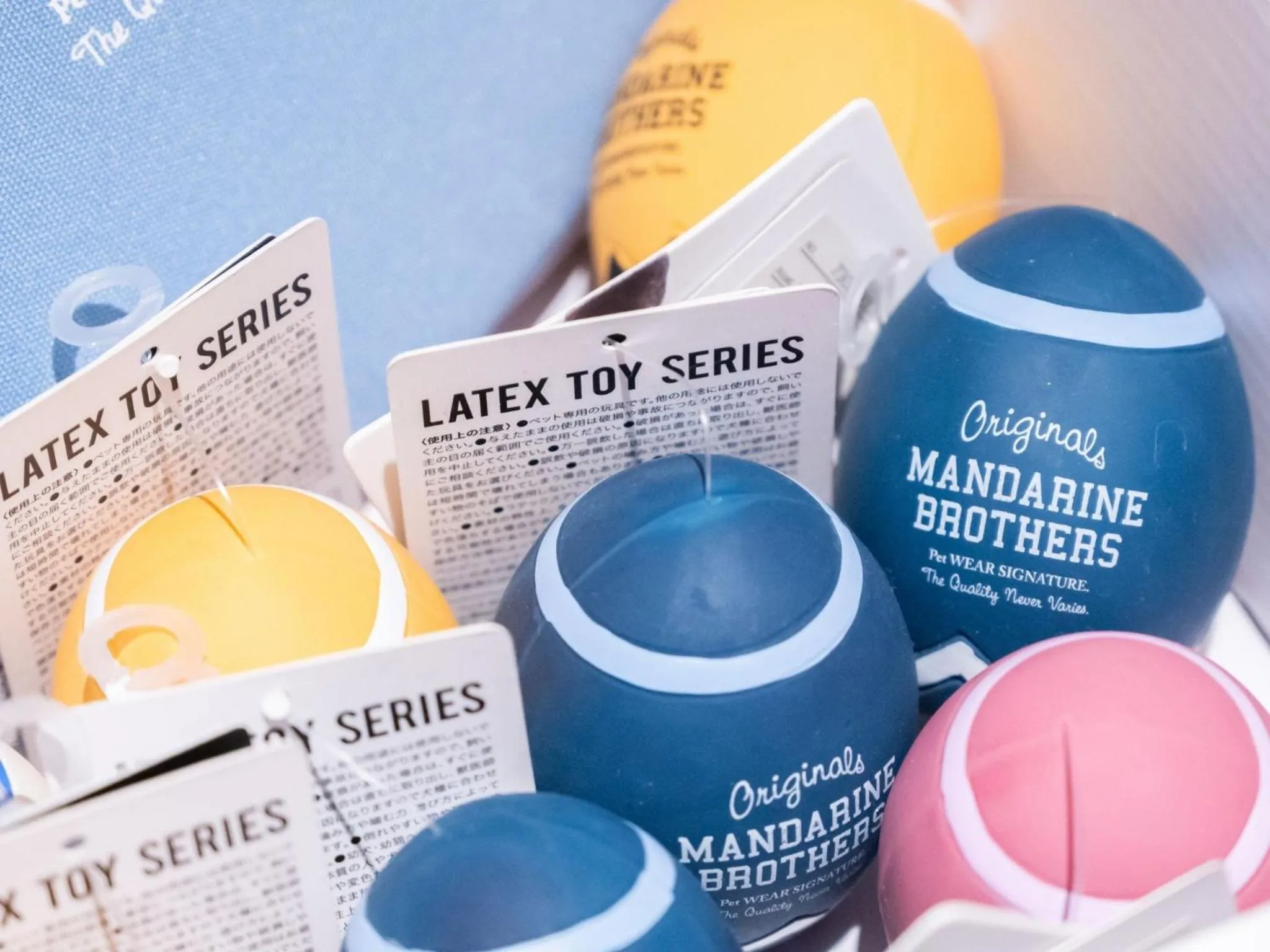 hotel anddoggy Kyoto Nijo