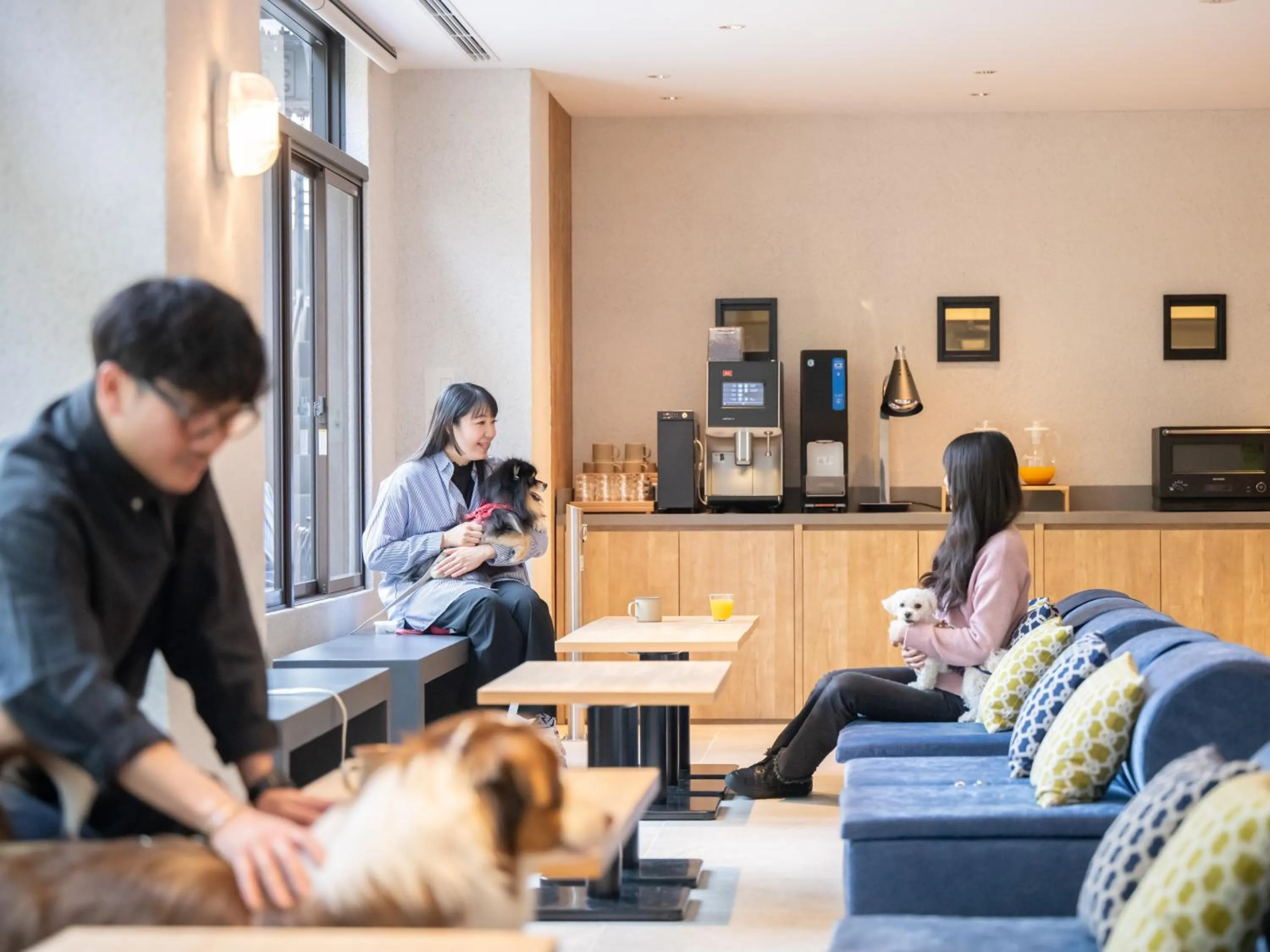 Lounge or bar in hotel anddoggy Kyoto Nijo