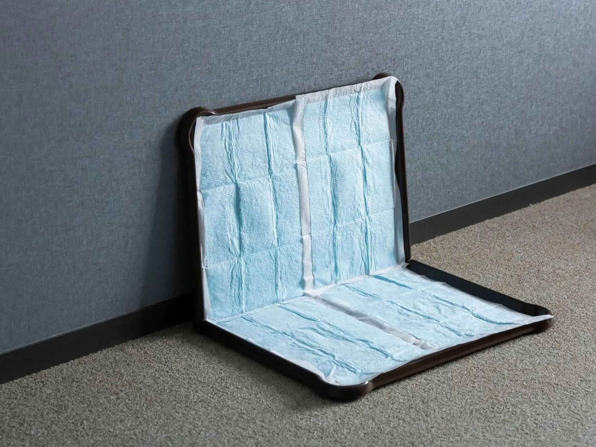 Pets in hotel anddoggy Kyoto Nijo