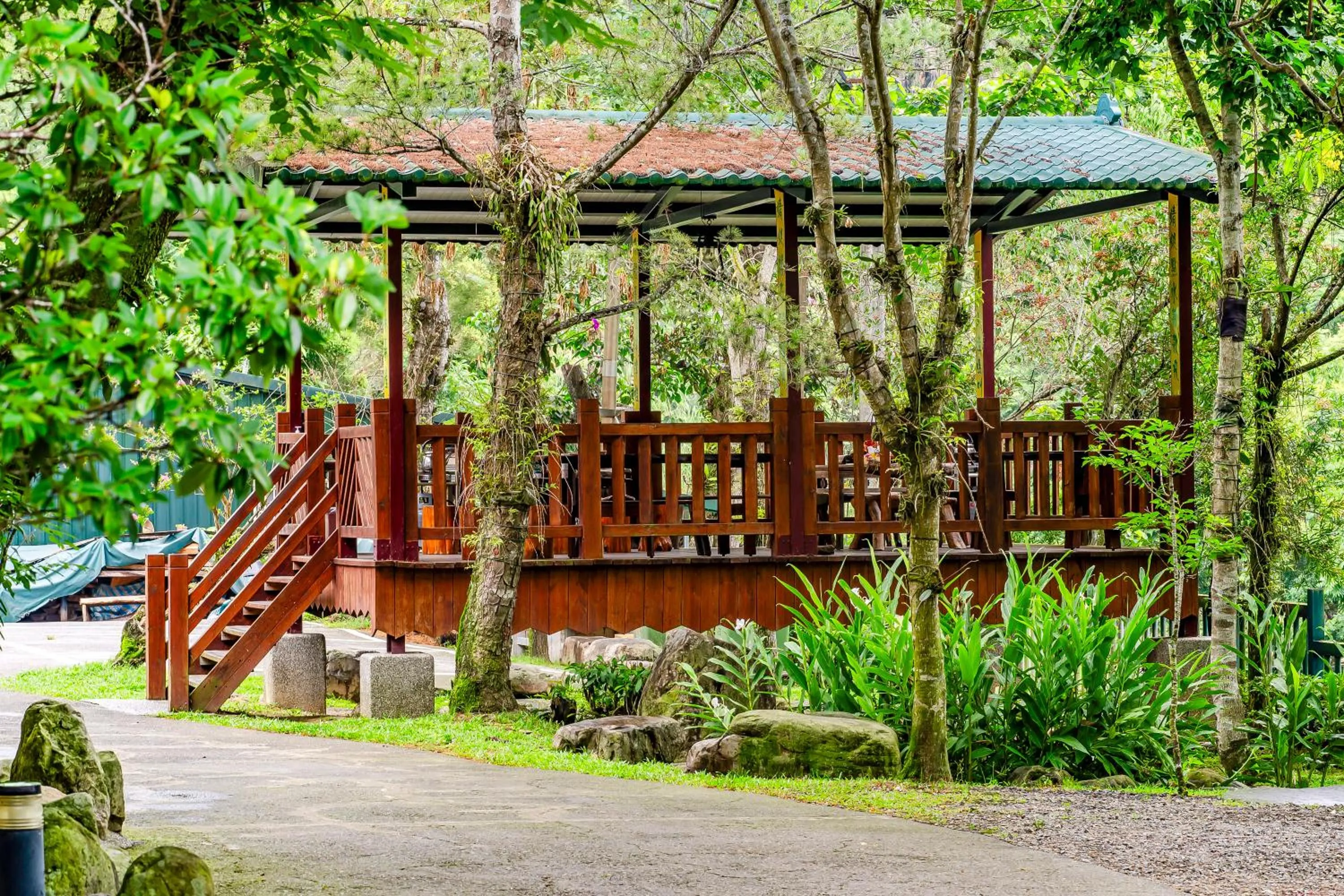 Natural landscape in Green House