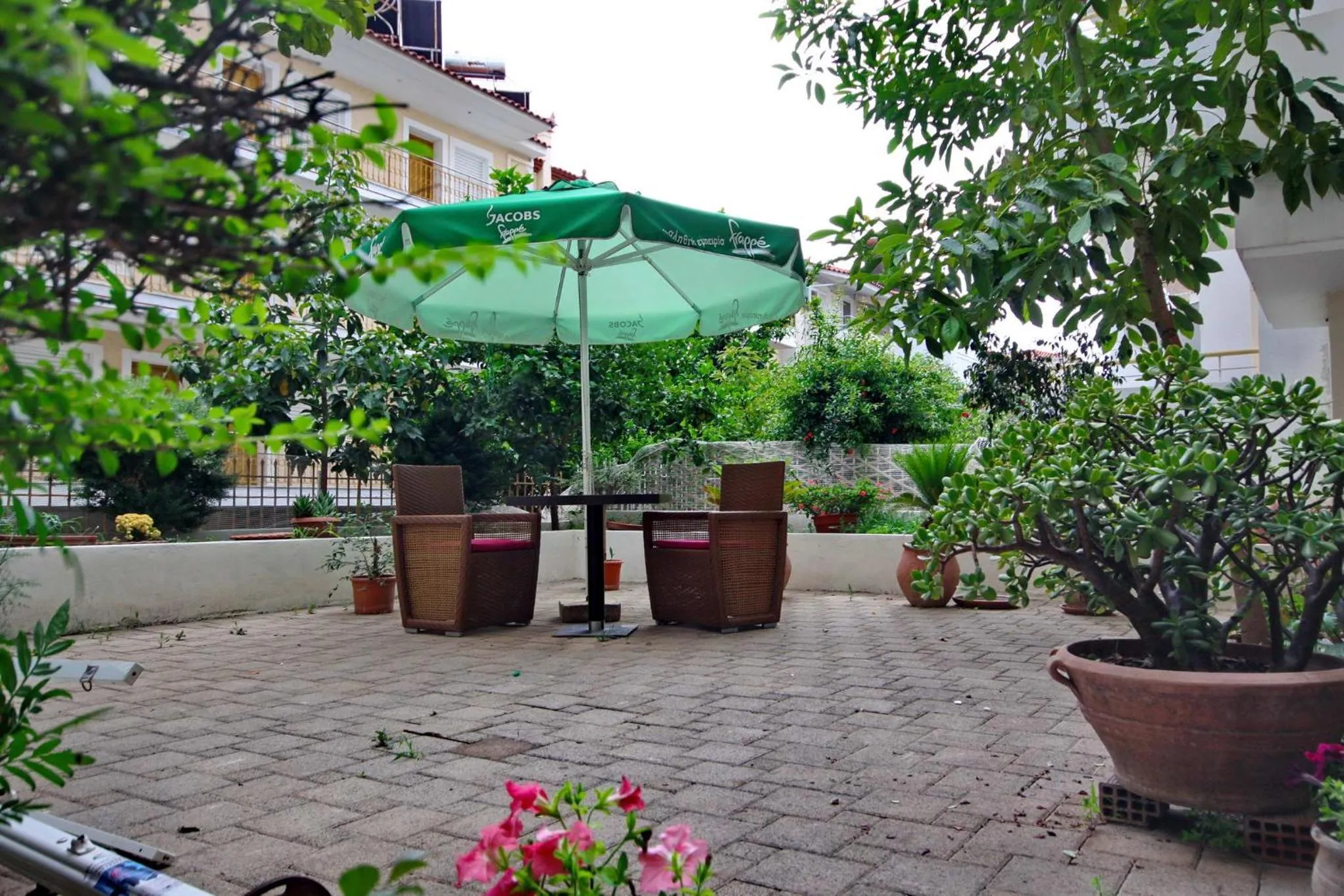 Garden in Efi's studios