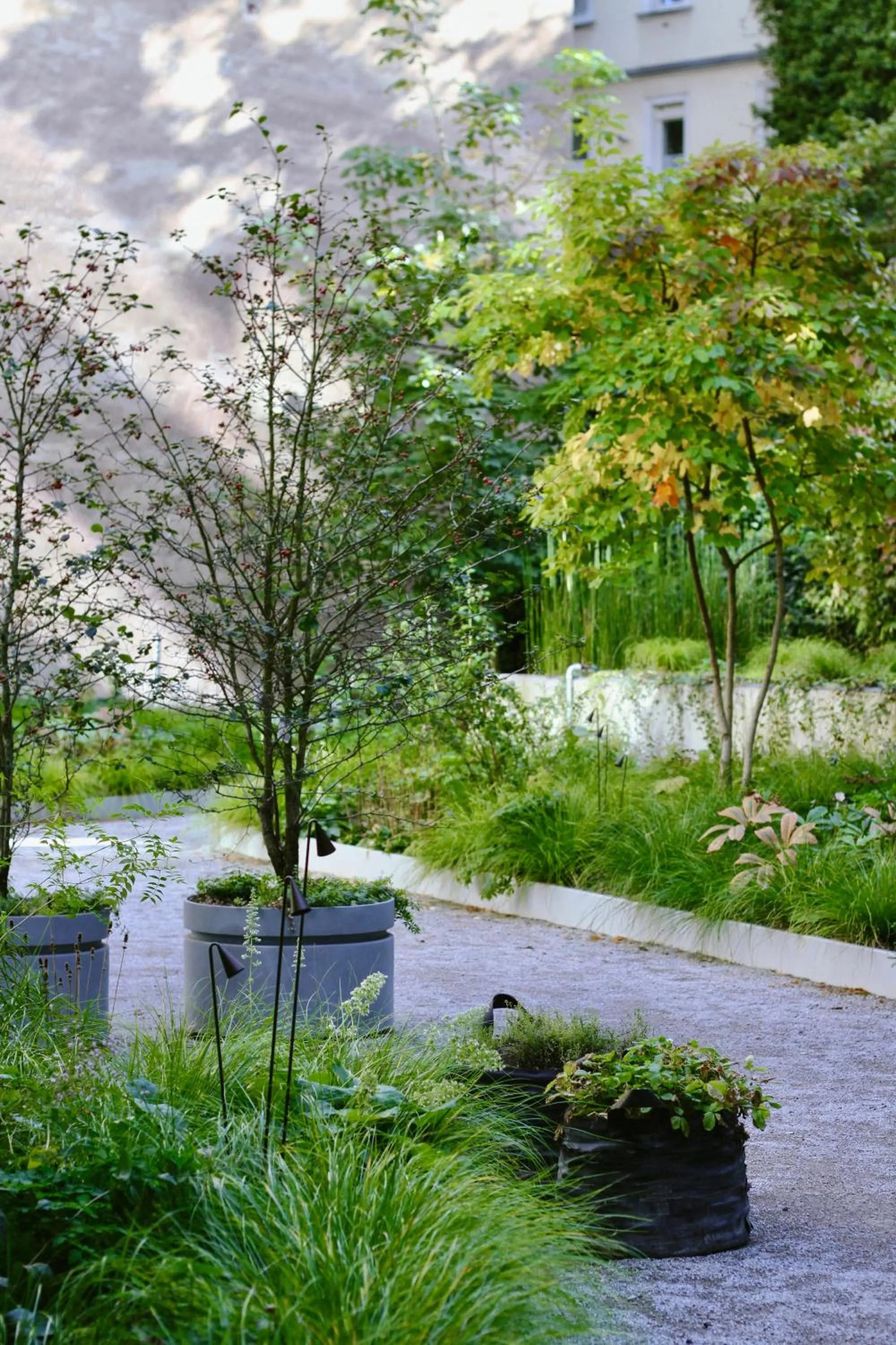 Garden in Wilmina Apartments & Lofts