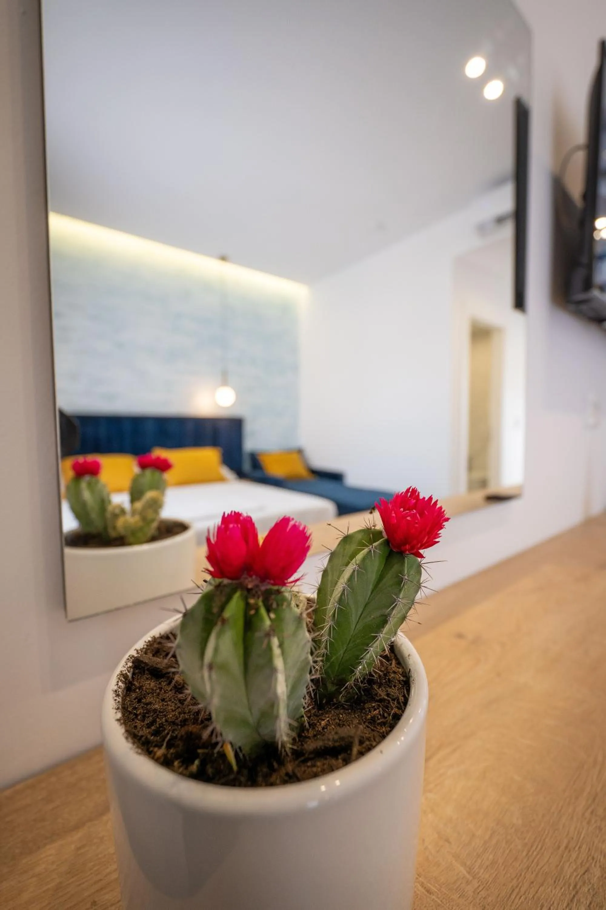 TV and multimedia in Hotel Flori