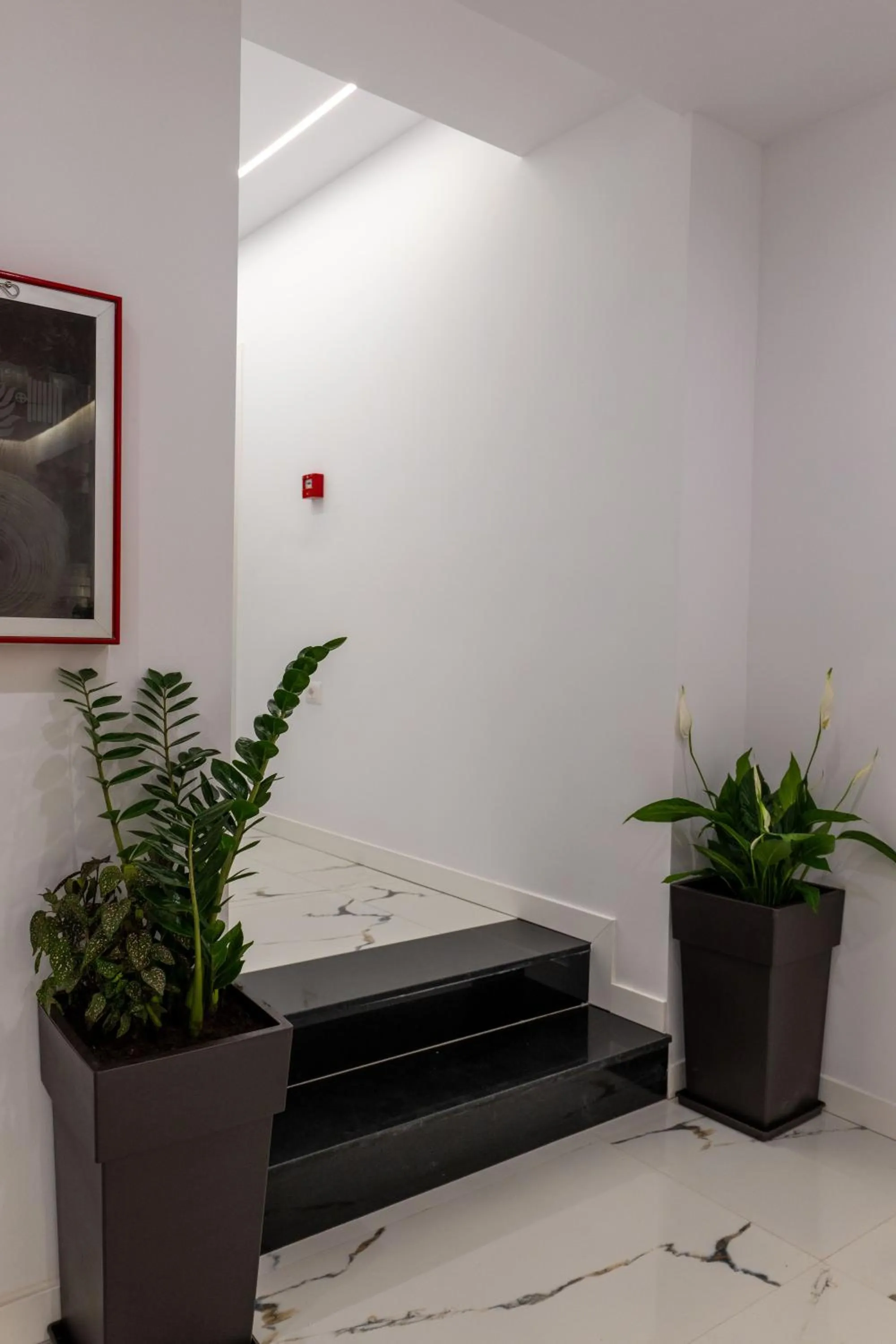 Property building in Hotel Flori