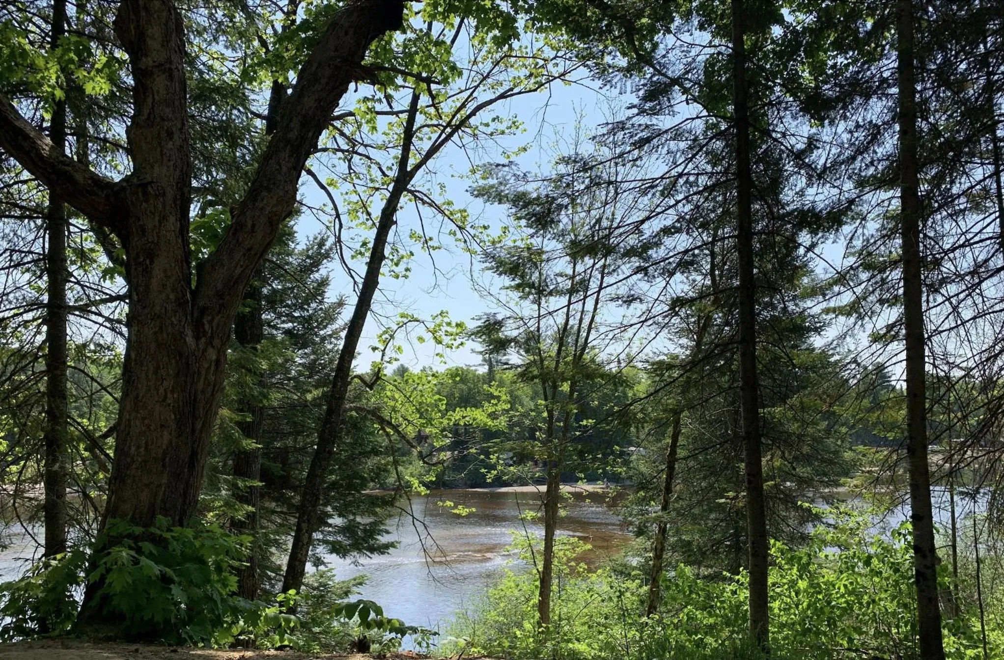 Hôtel UNIQ - Forêt Ô Cascades