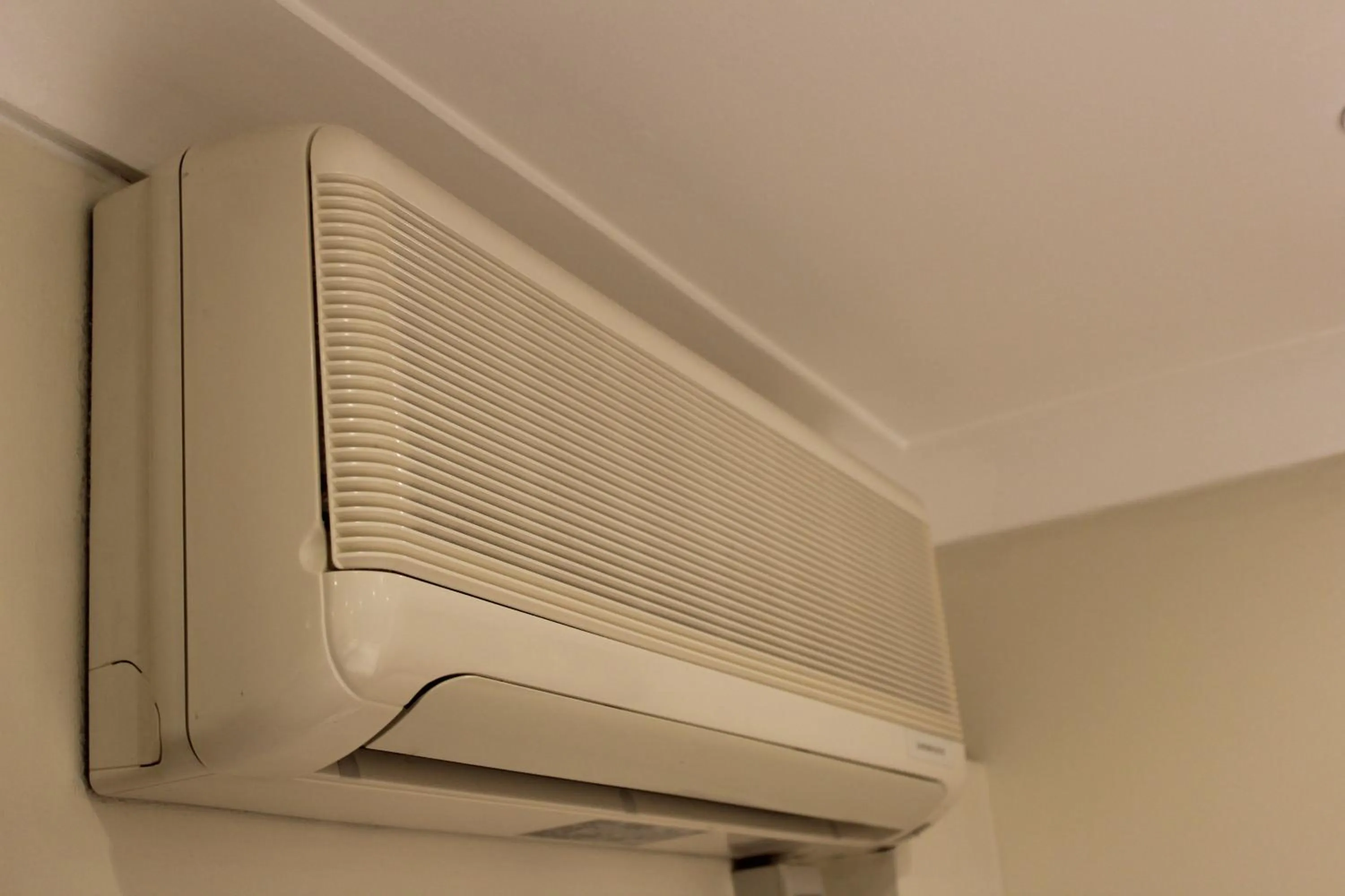 Area and facilities in Best Western Victoria Palace