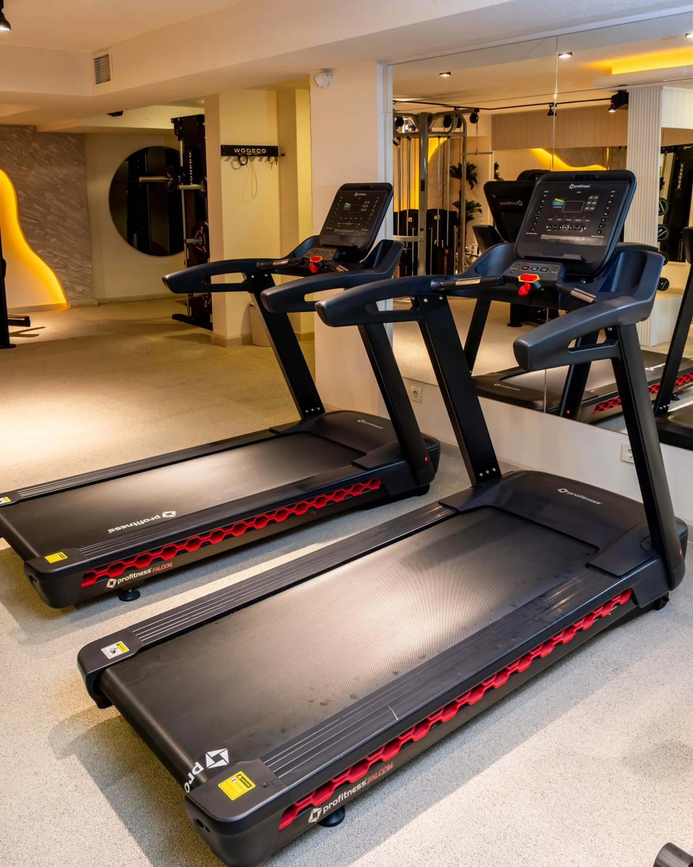 Fitness centre/facilities in Los Suites