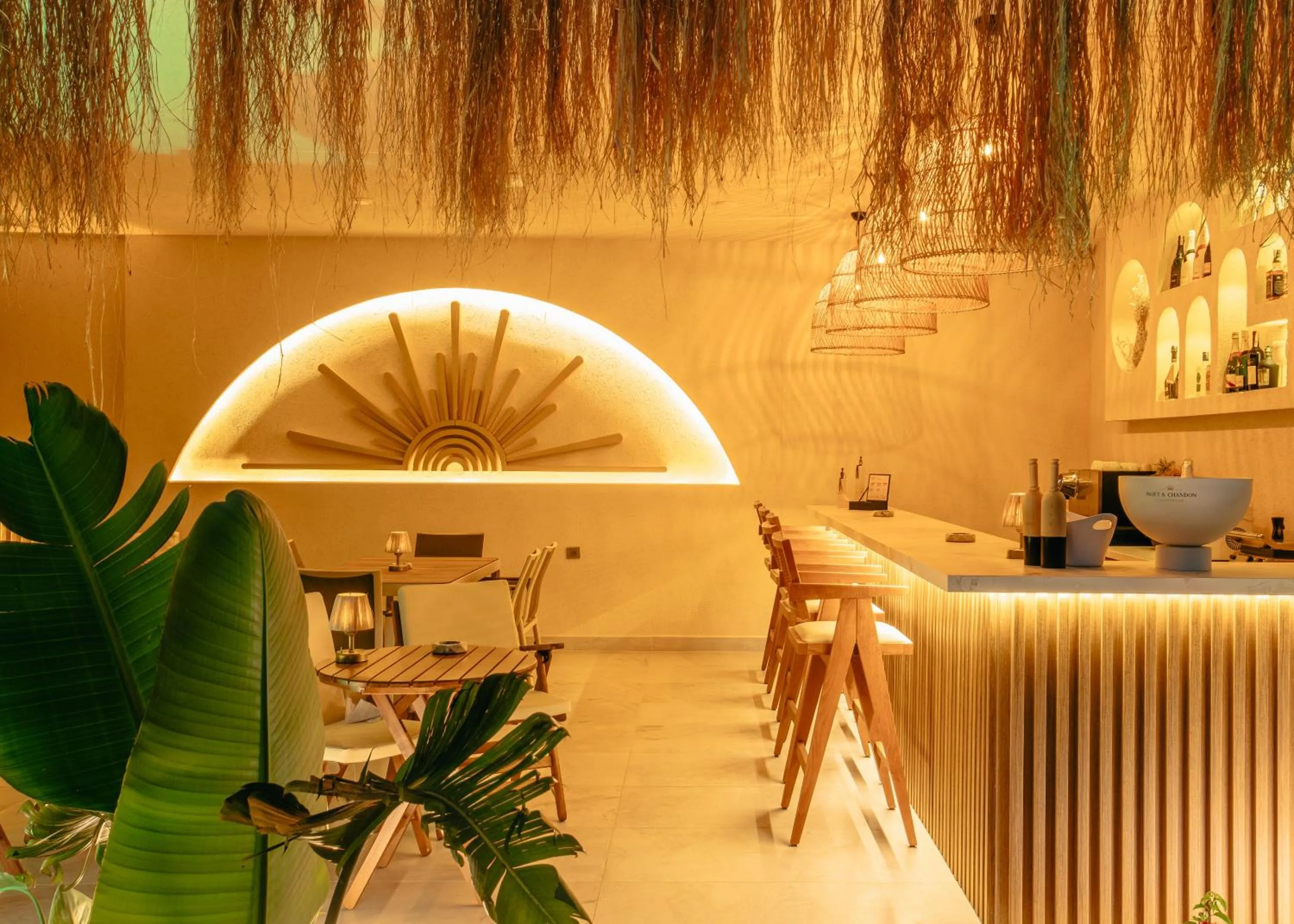 Garden in Los Suites