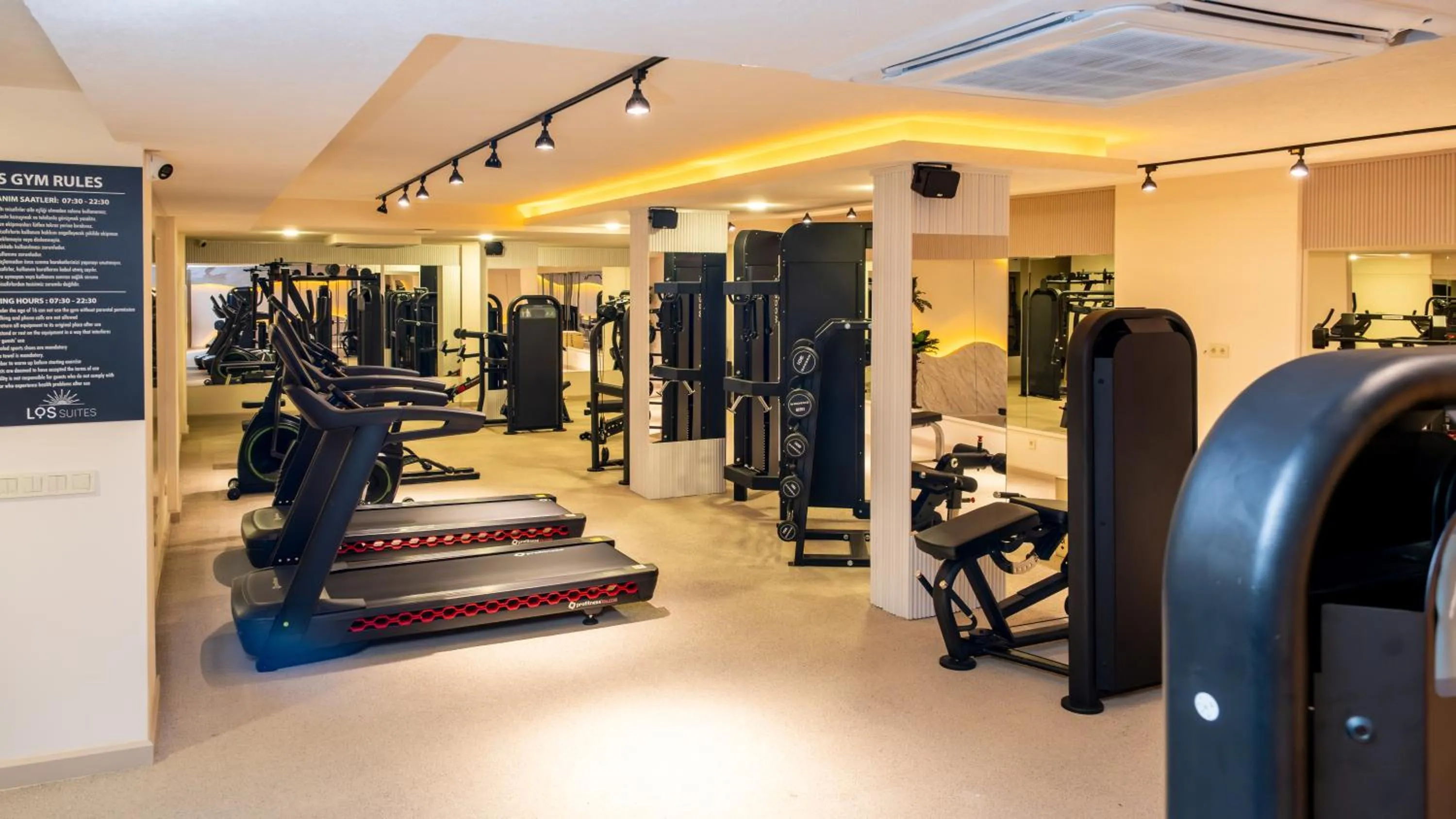 Fitness centre/facilities in Los Suites