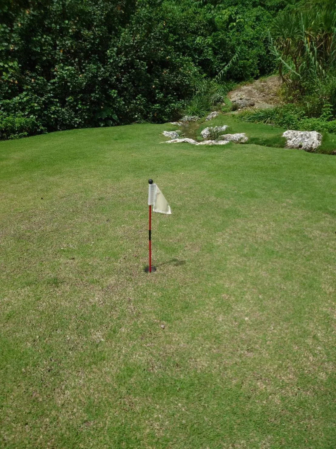 Garden in THE PANALI