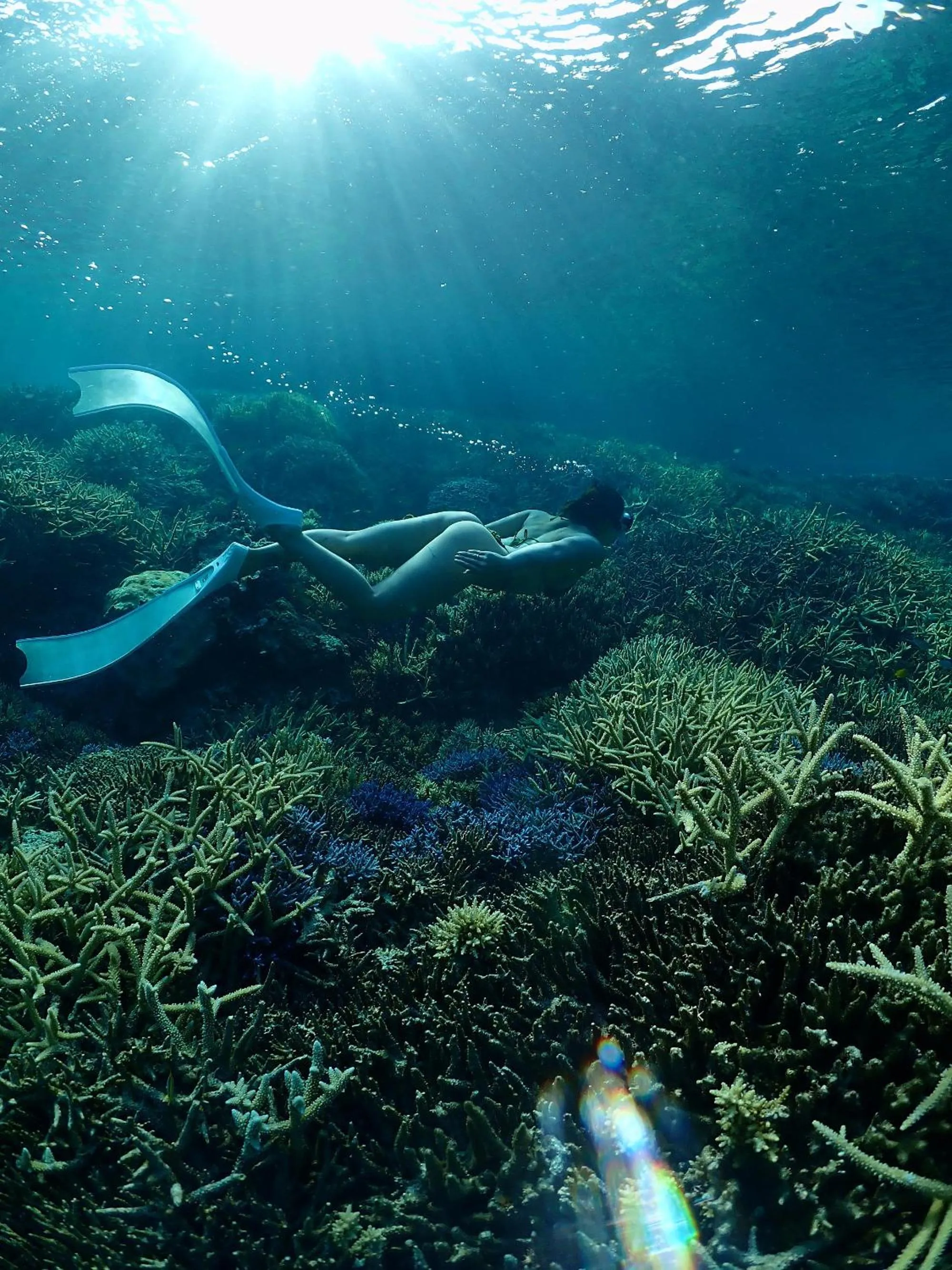 Snorkeling in THE PANALI