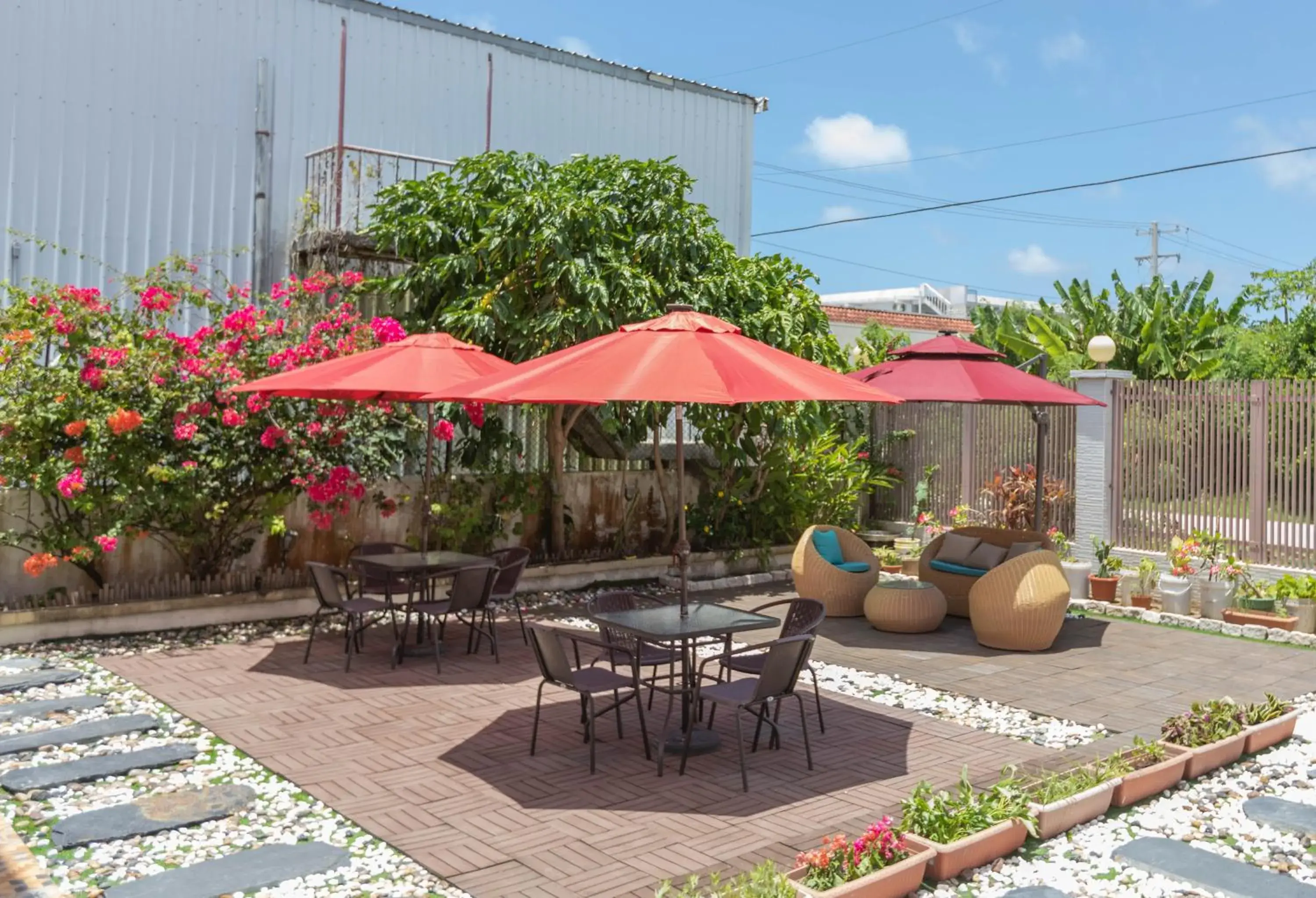 Garden view in Oasis Boutique House Garden view in Oasis Boutique House