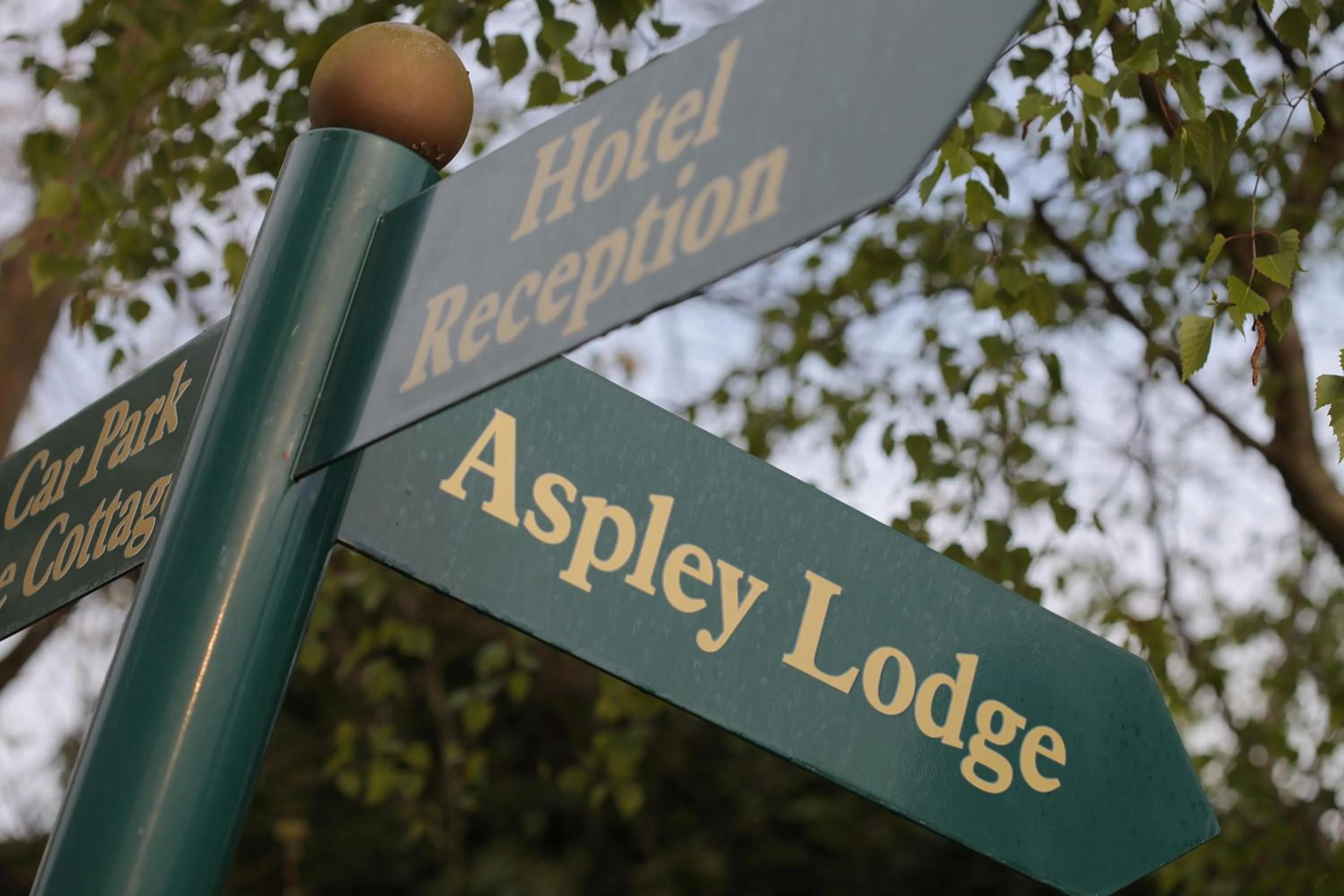 Decorative detail in Best Western Moore Place Hotel