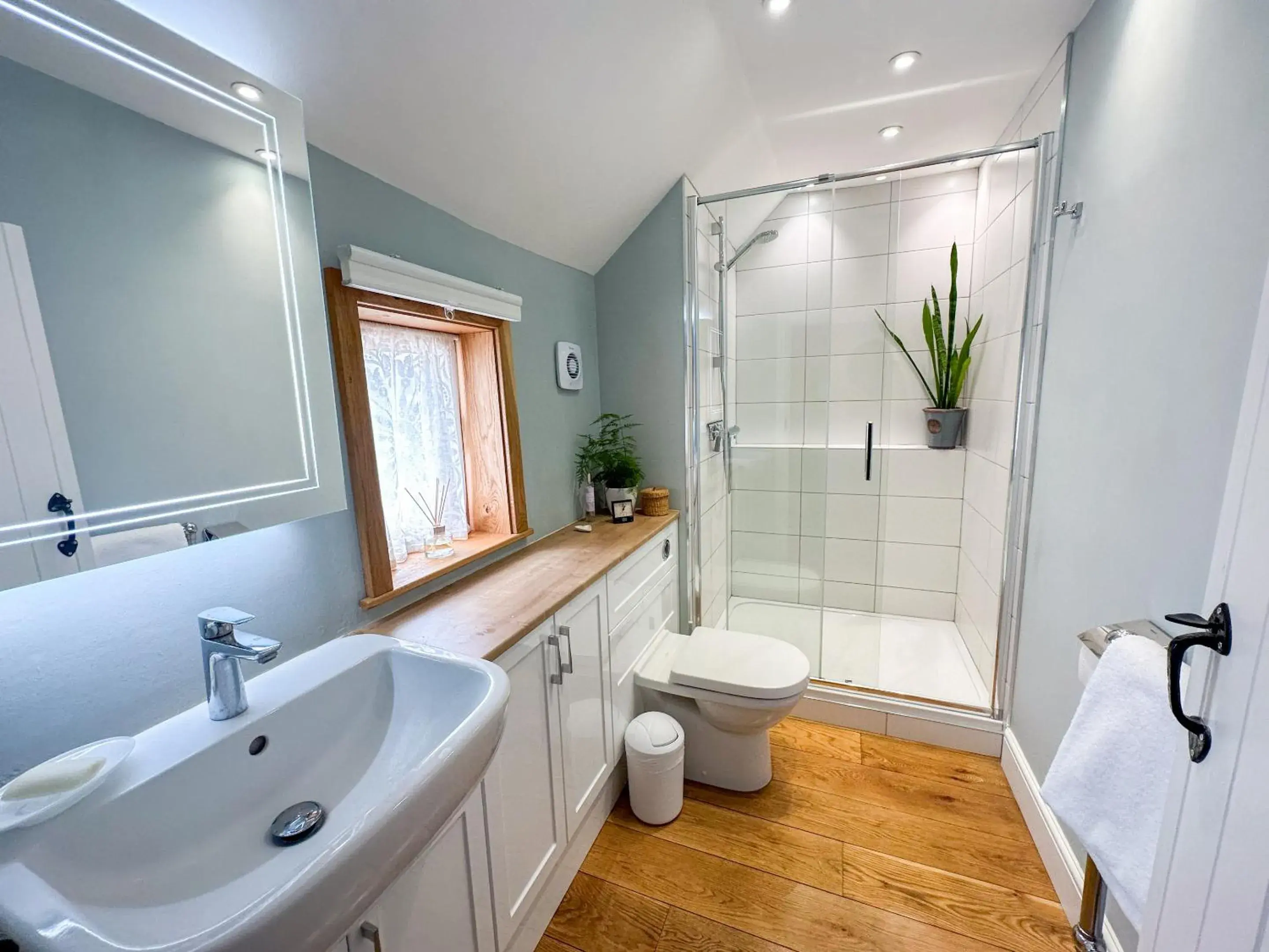 The Globe House The Globe House