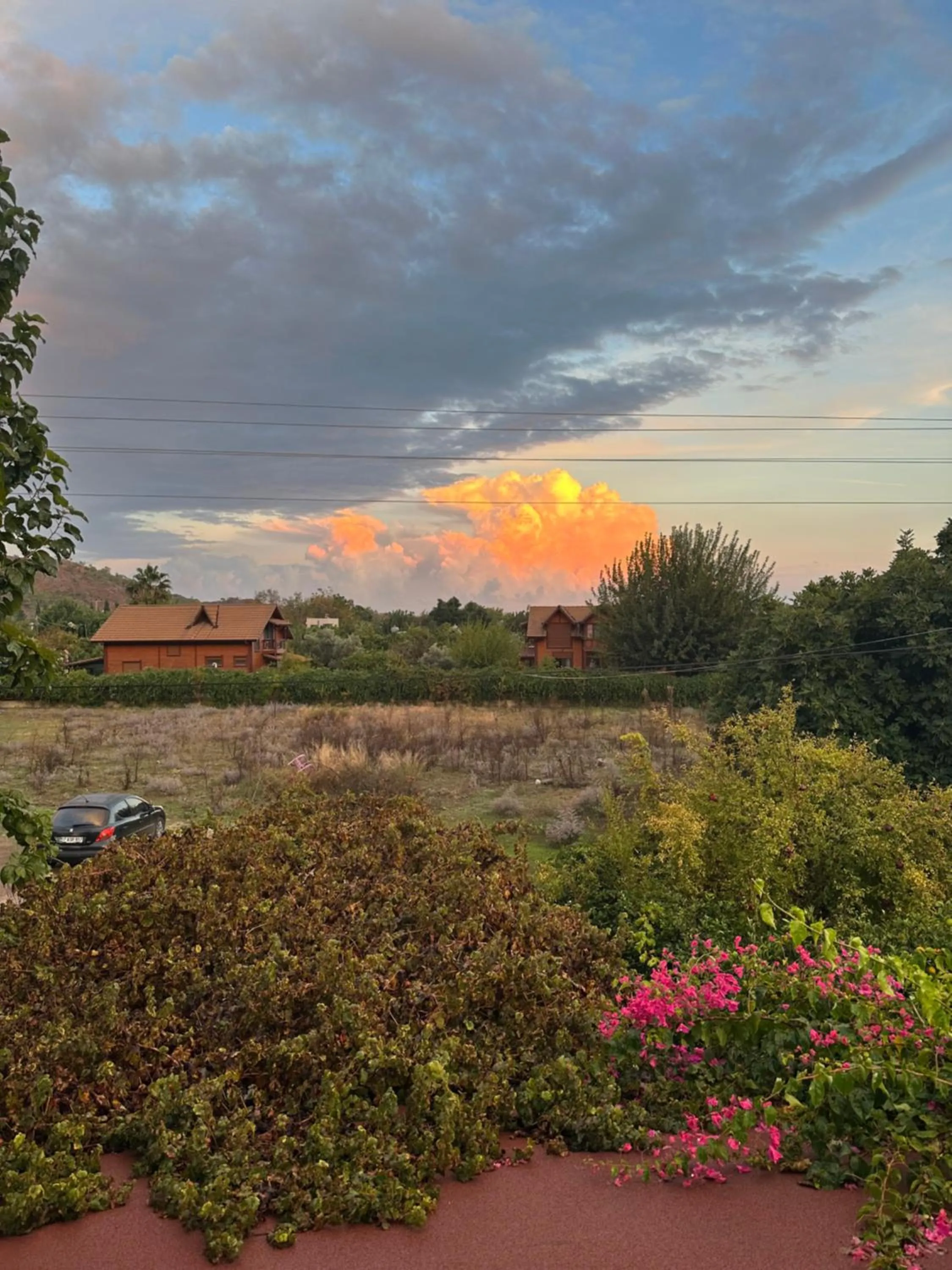 Natural landscape in GAYA PANSİYON ÇIRALI