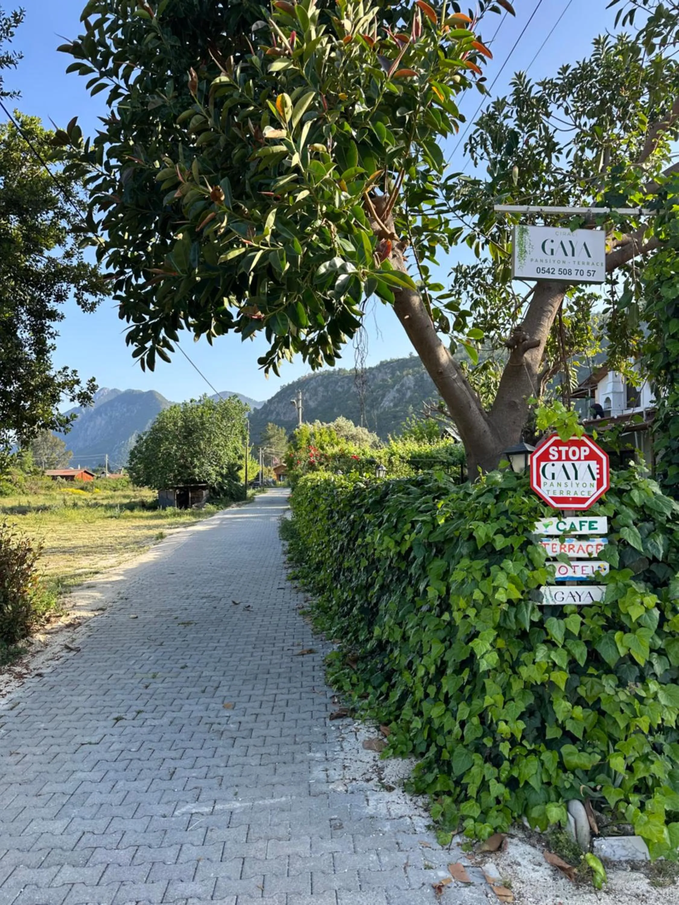 Day in GAYA PANSİYON ÇIRALI