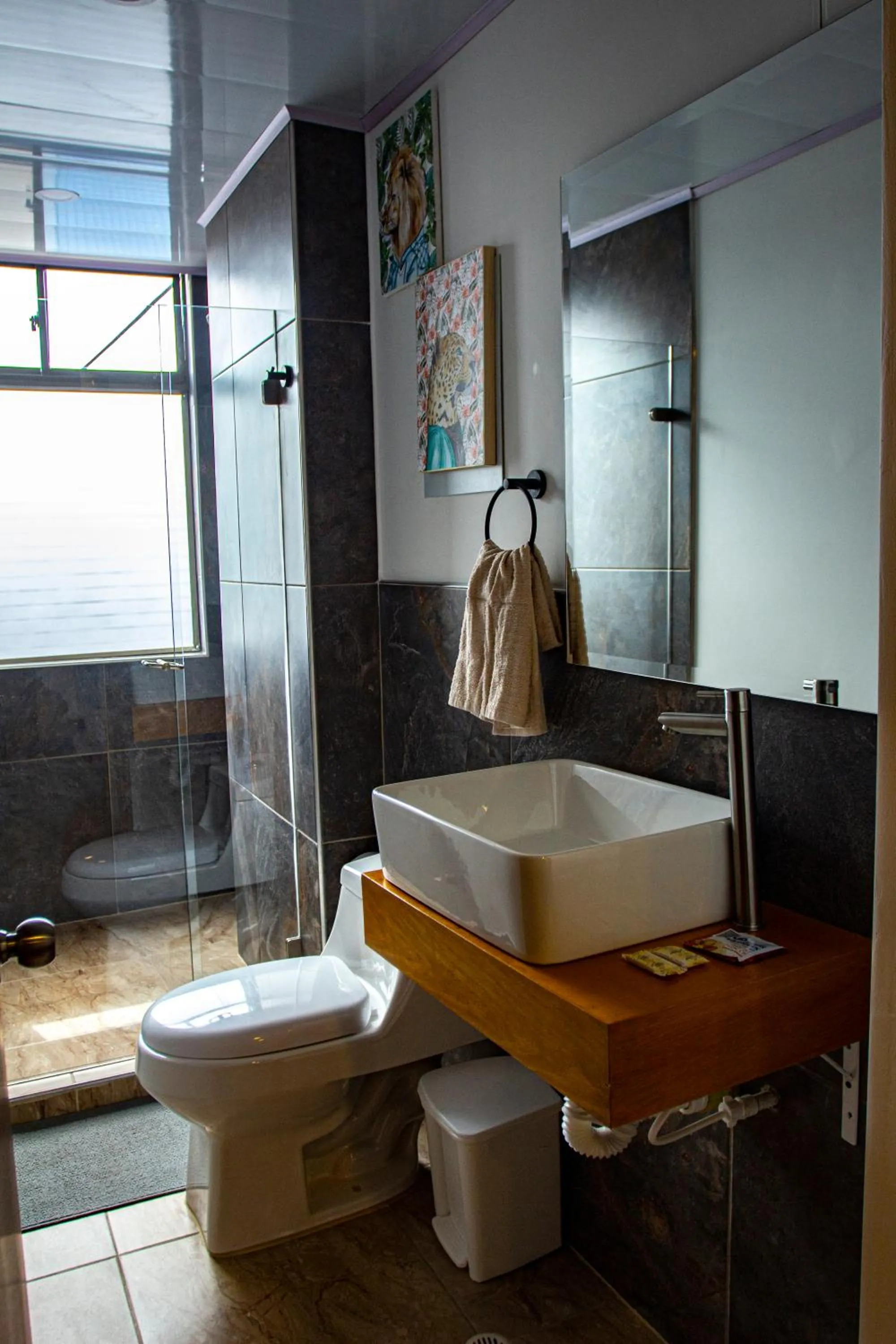 Shower in BOG Living Suites