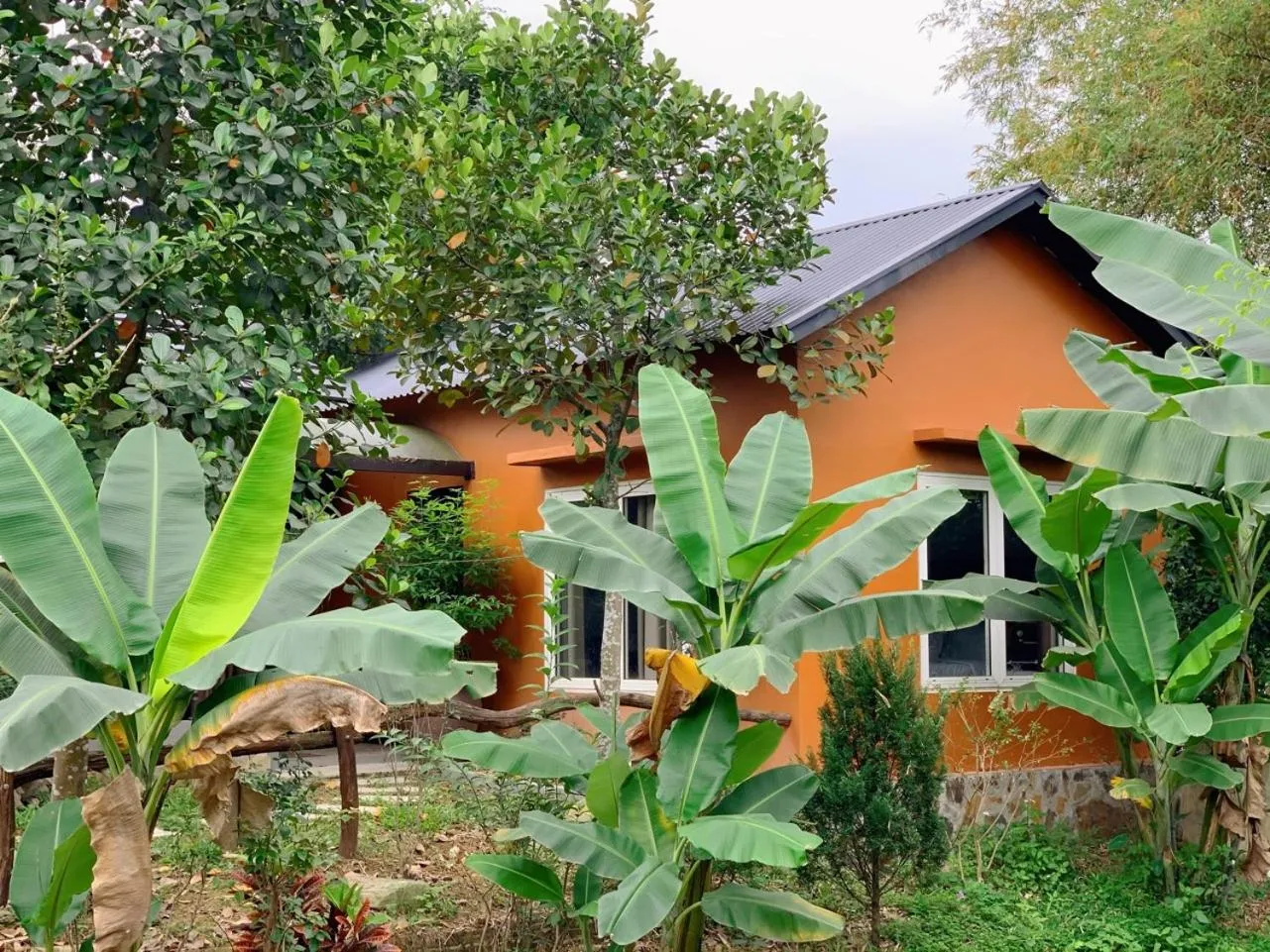 Property building in Paradise Soc Son Resort