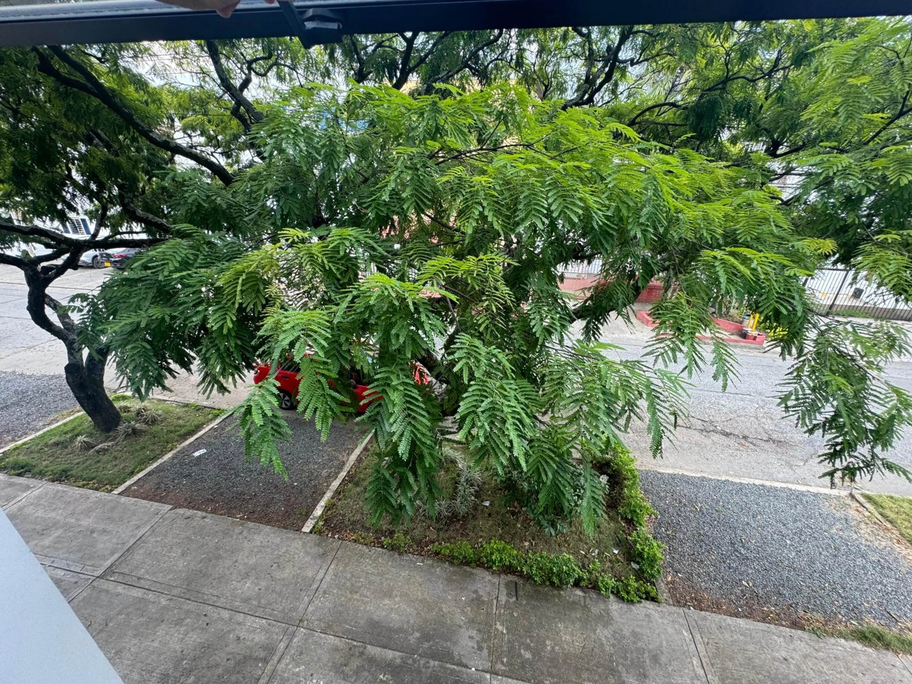 Street view in Hotel Living Box San Fernando