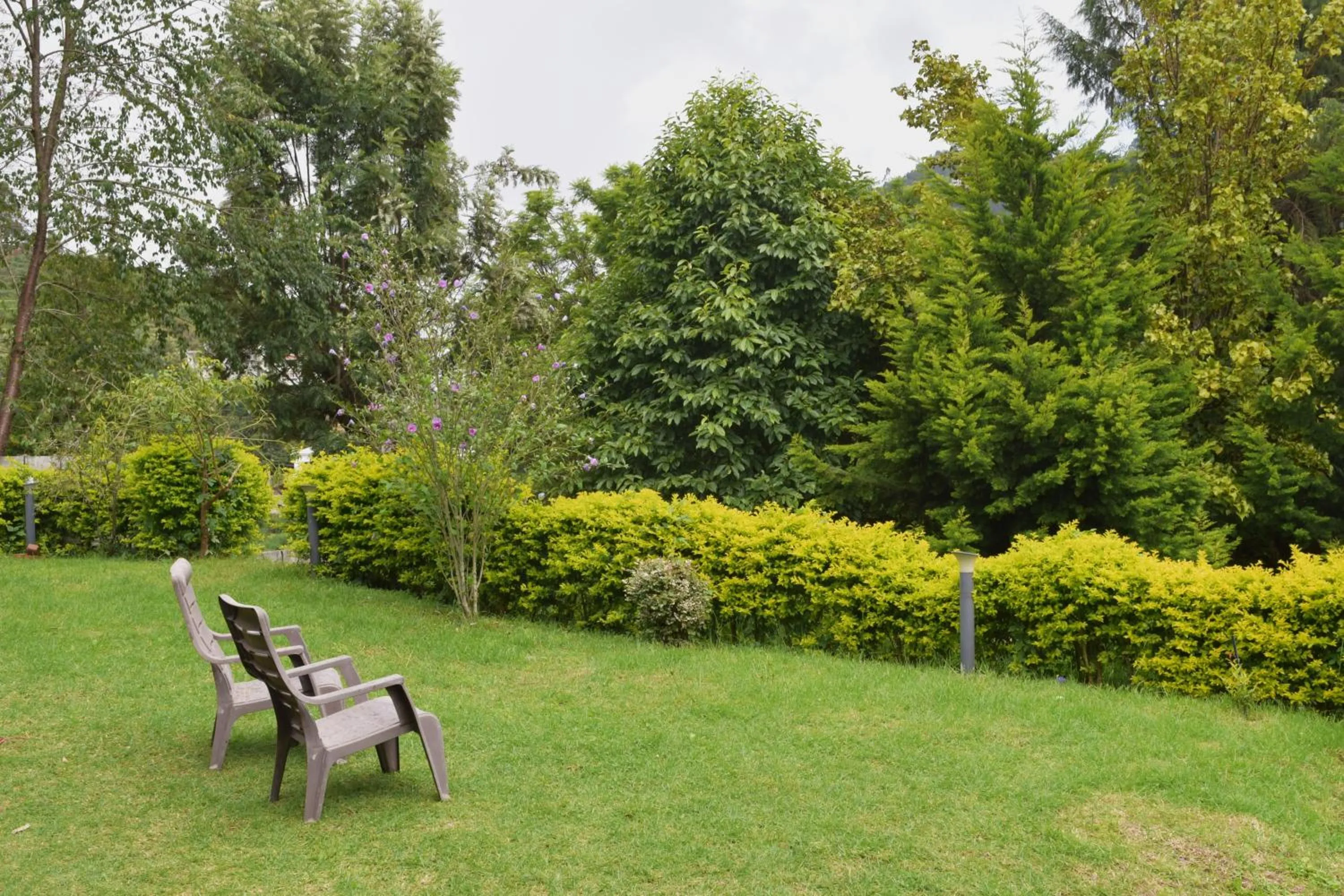 Garden view in Avadale Kodaikanal - Stag Groups Not Allowed