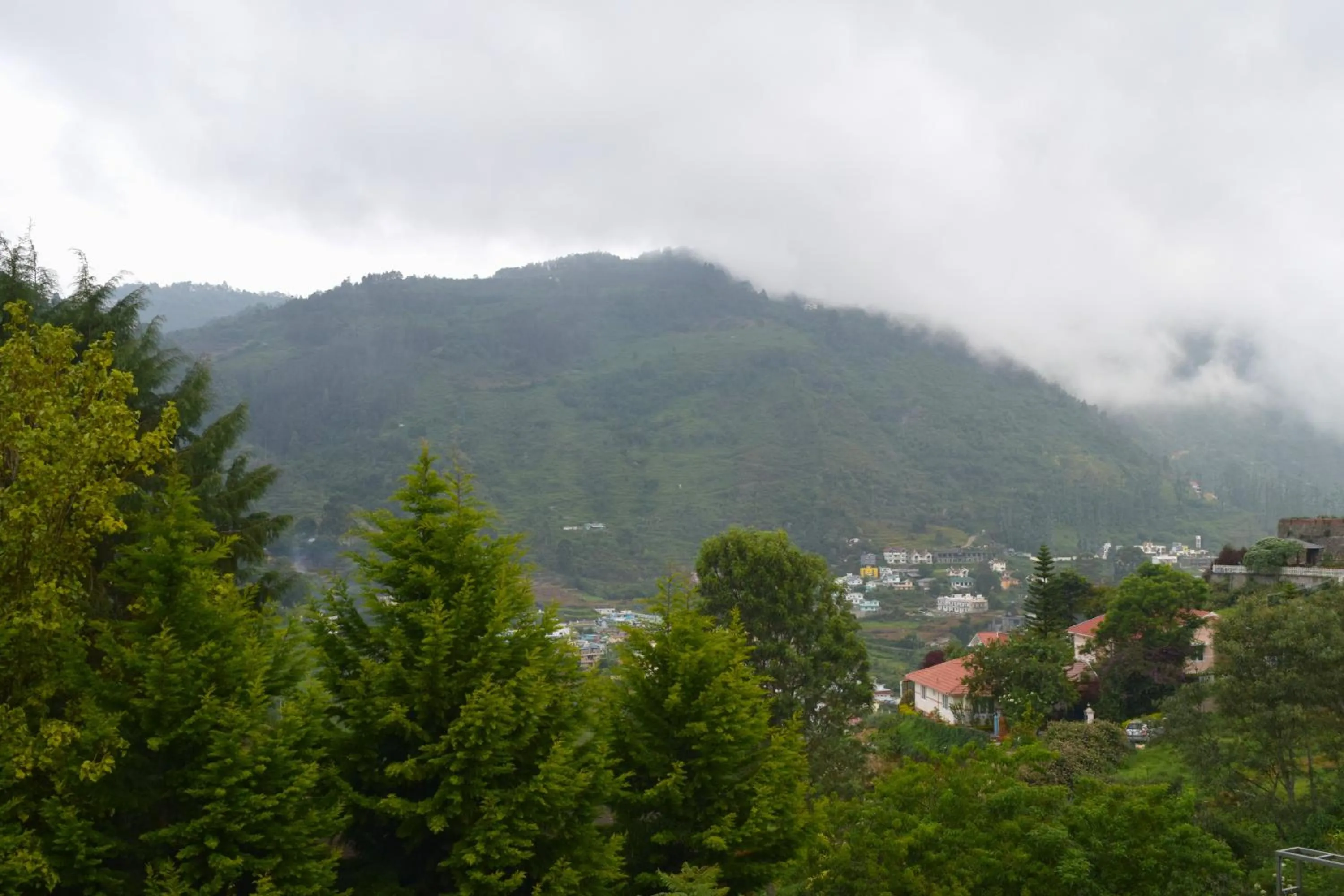 View (from property/room) in Avadale Kodaikanal - Stag Groups Not Allowed