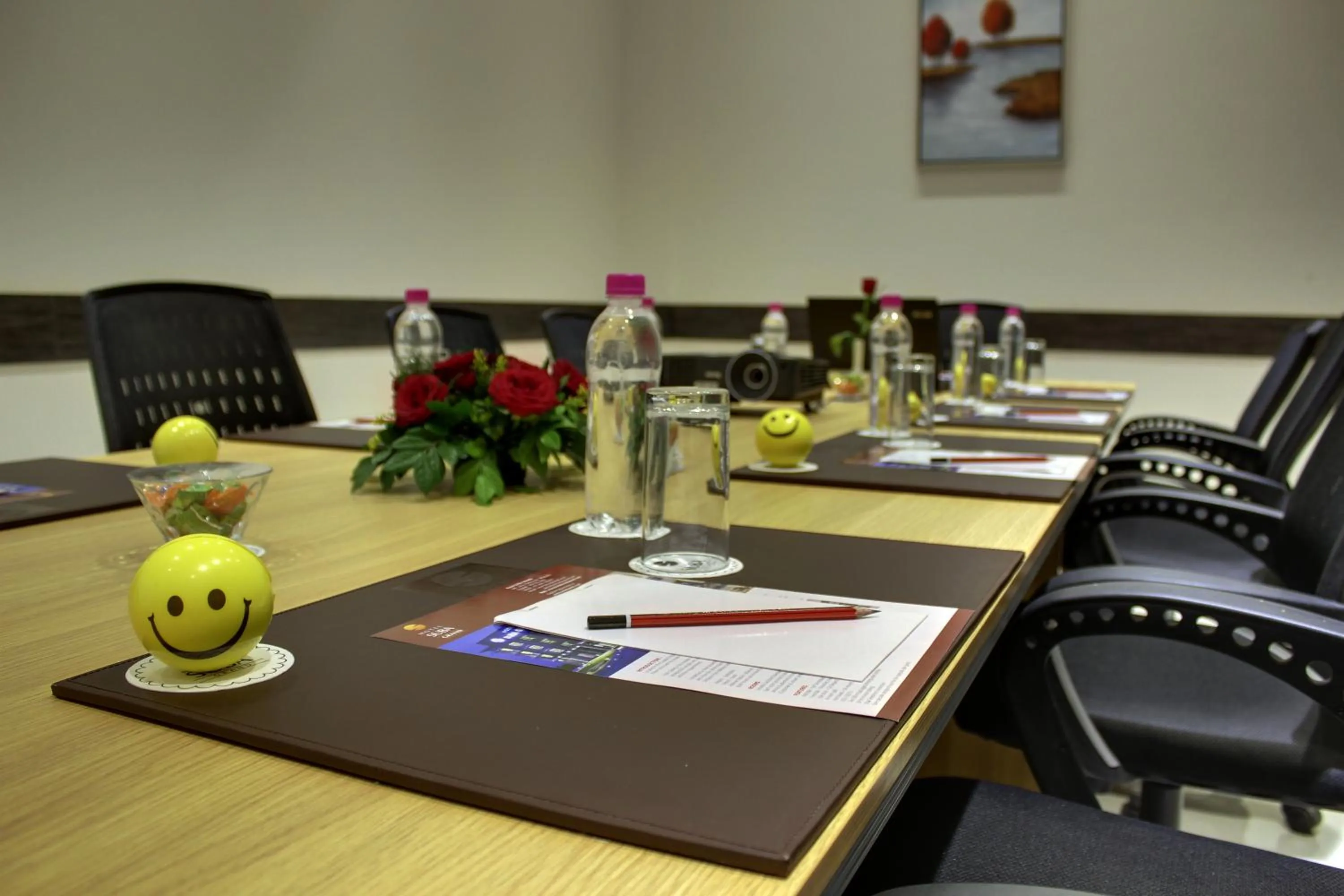 Meeting/conference room in The Radiant Swan