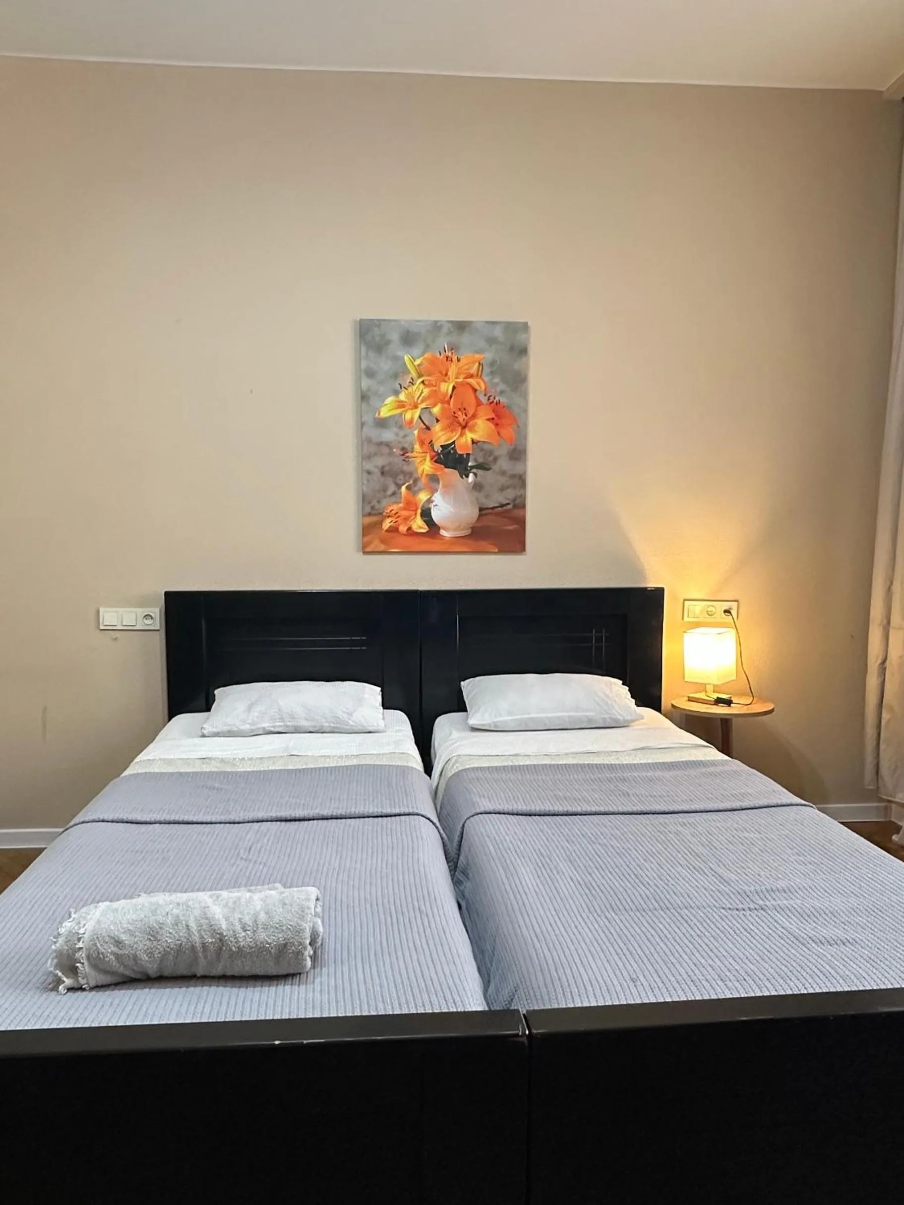 Deluxe Twin Room in Lali Apart Freedom Square