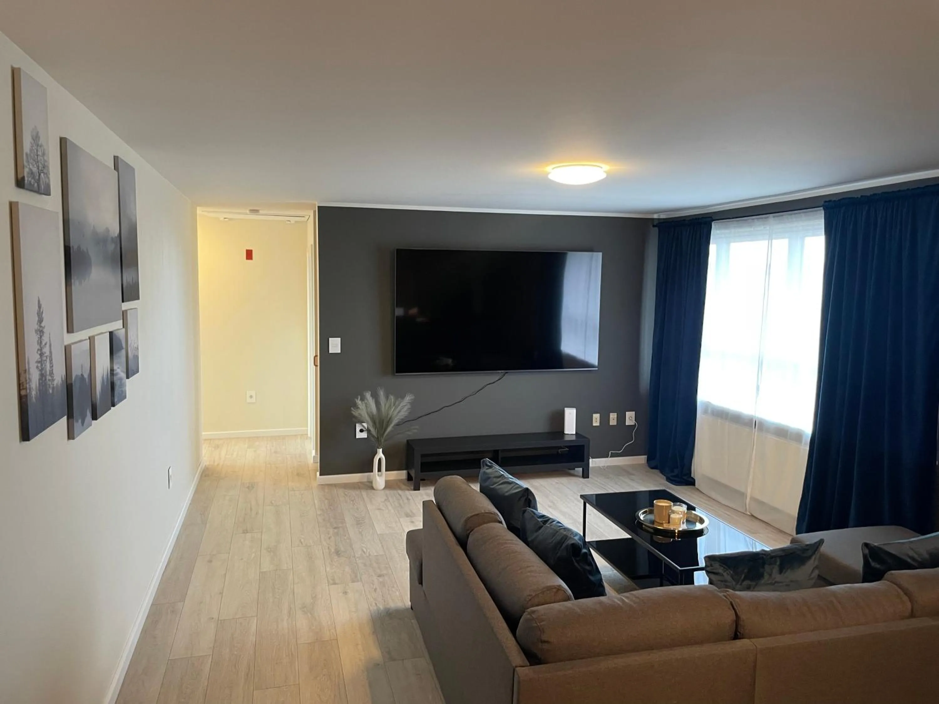 IQ Apartments 1