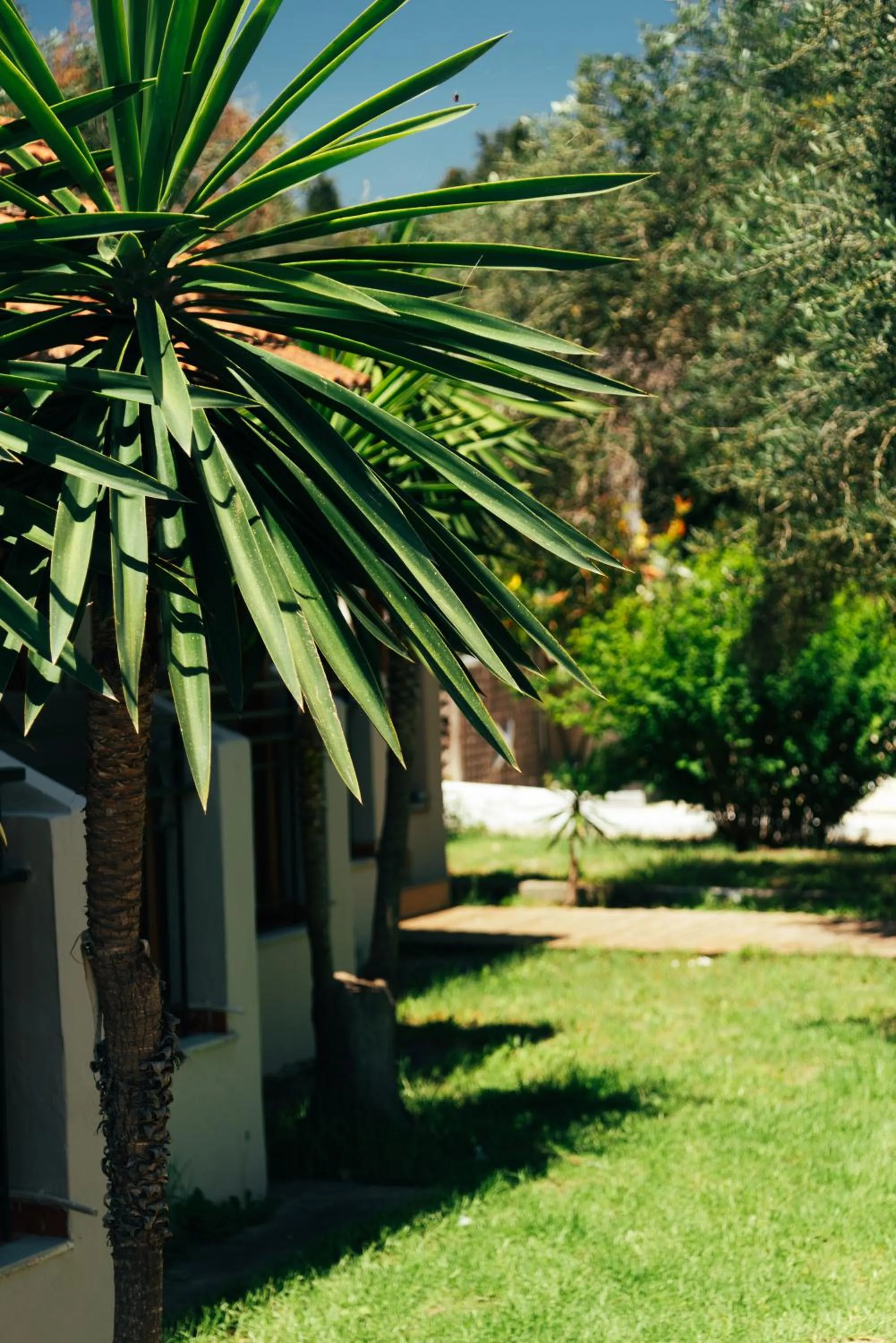 Garden view in Calypso Resort Kavos