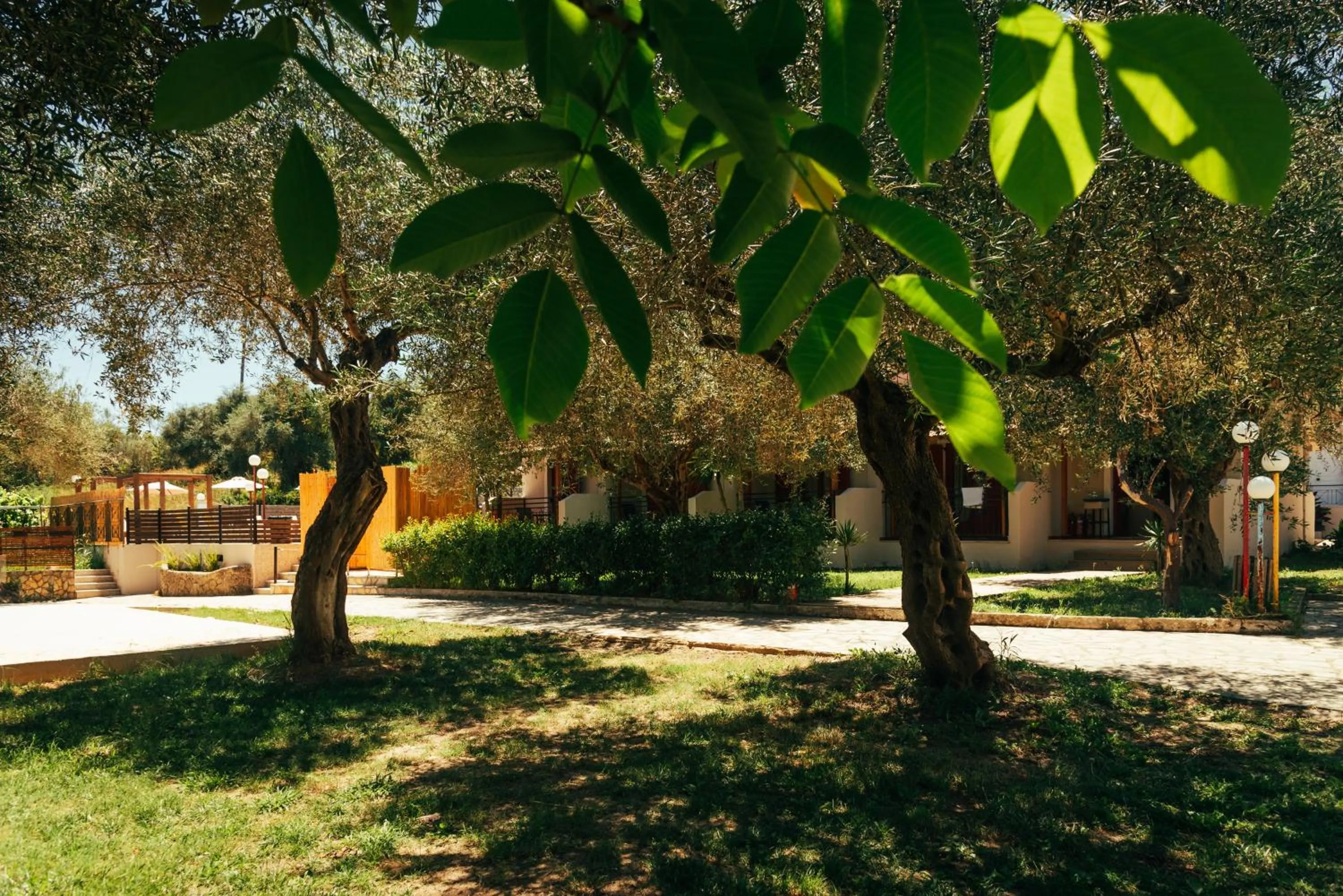 Garden view in Calypso Resort Kavos