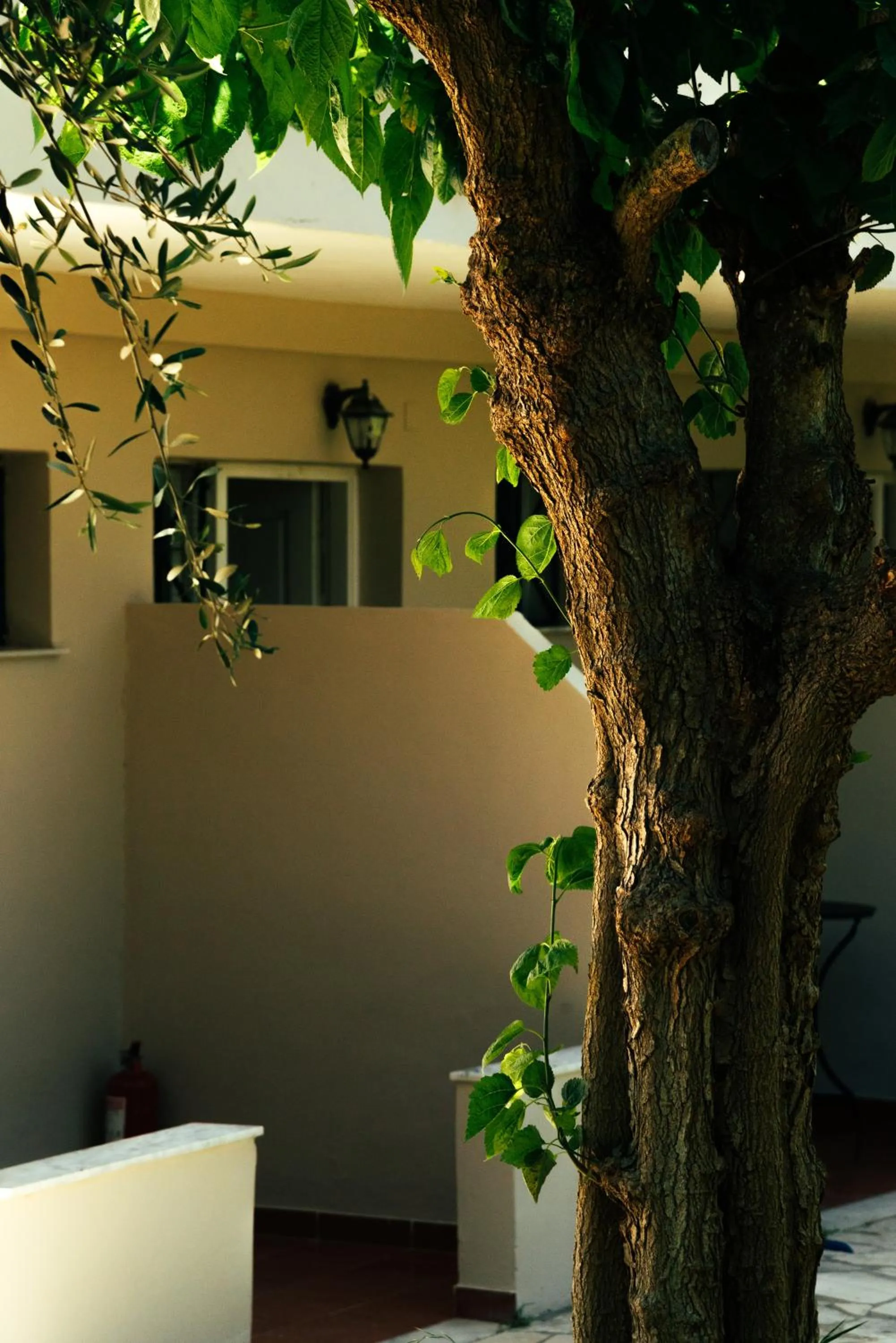 Garden view in Calypso Resort Kavos