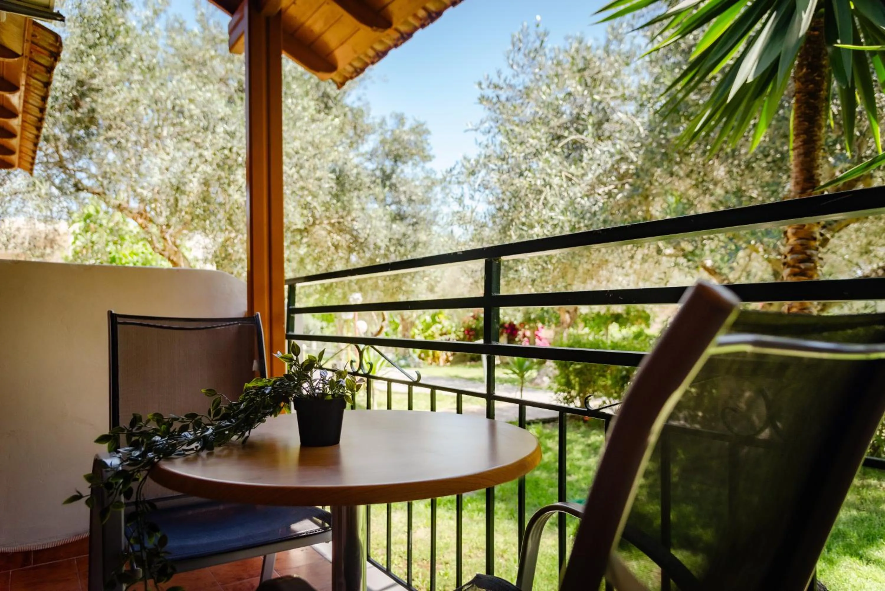 Garden view in Calypso Resort Kavos
