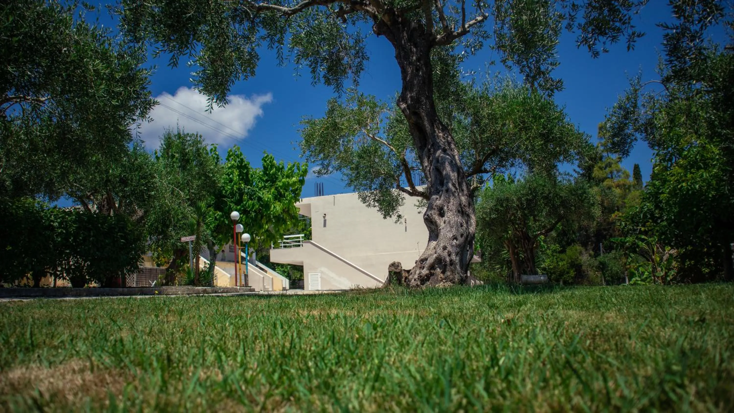 Garden in Calypso Resort Kavos
