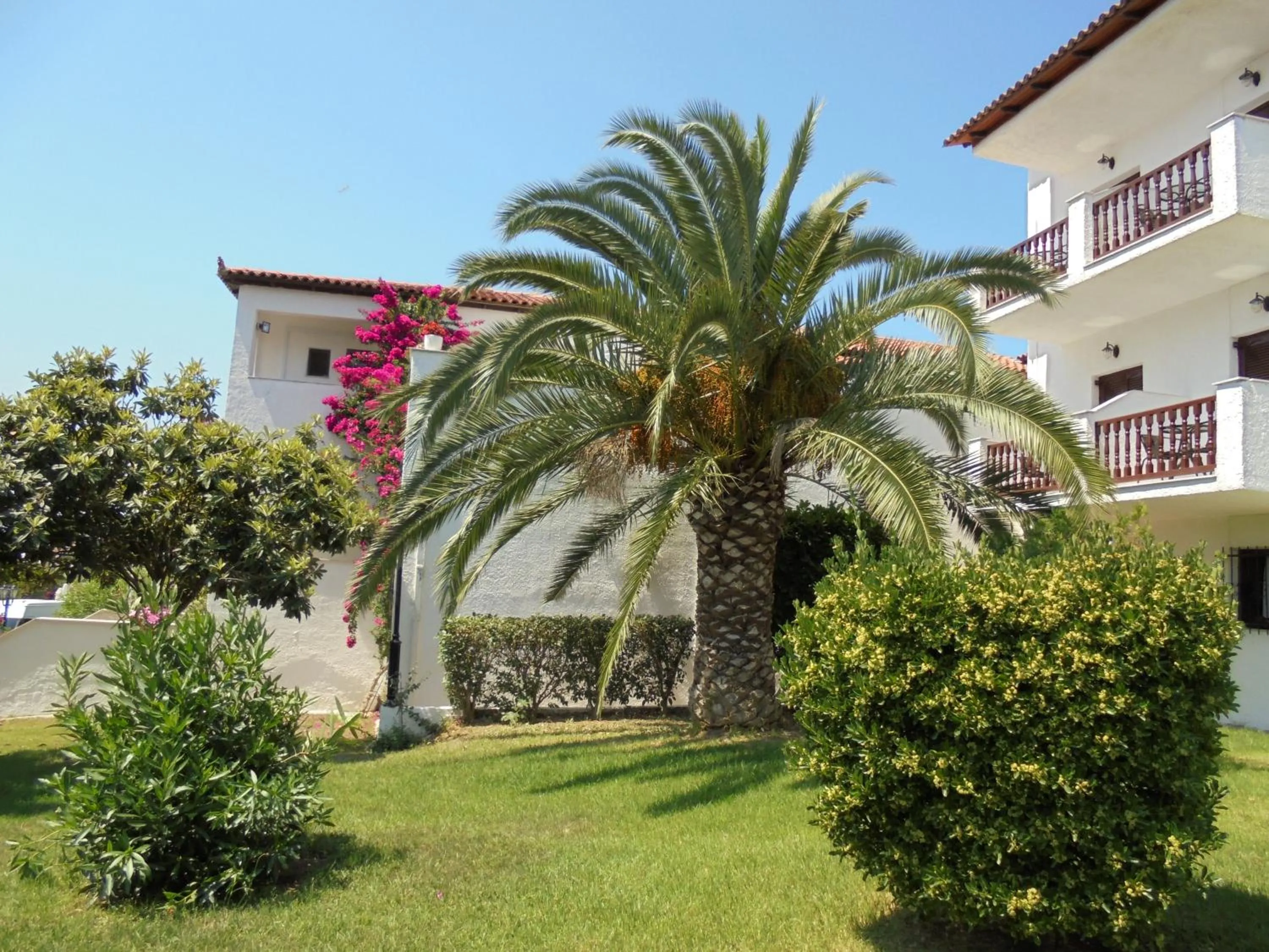 Garden in Hotel Paradise