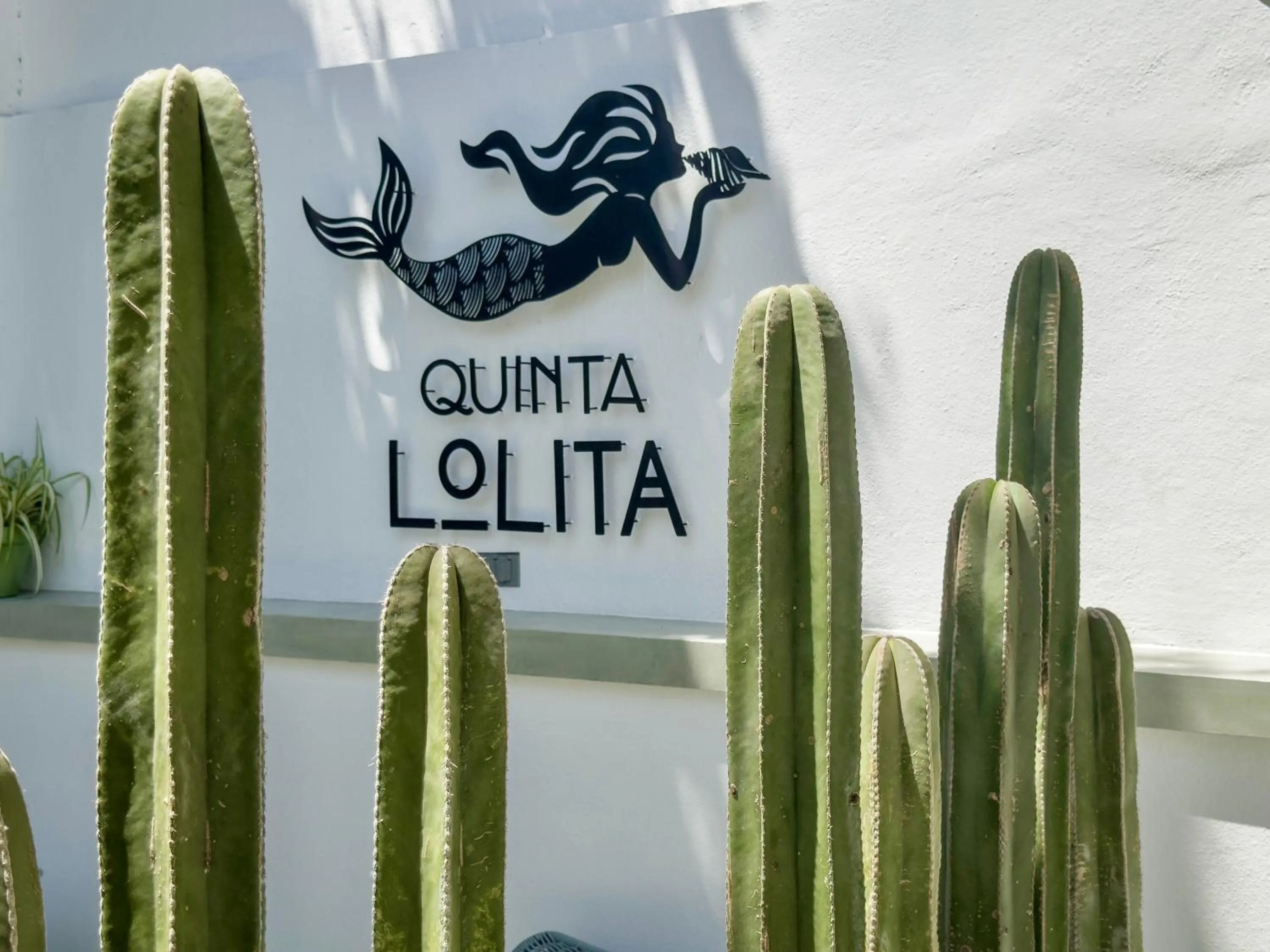 Quinta Lolita - La Paz Baja California Sur
