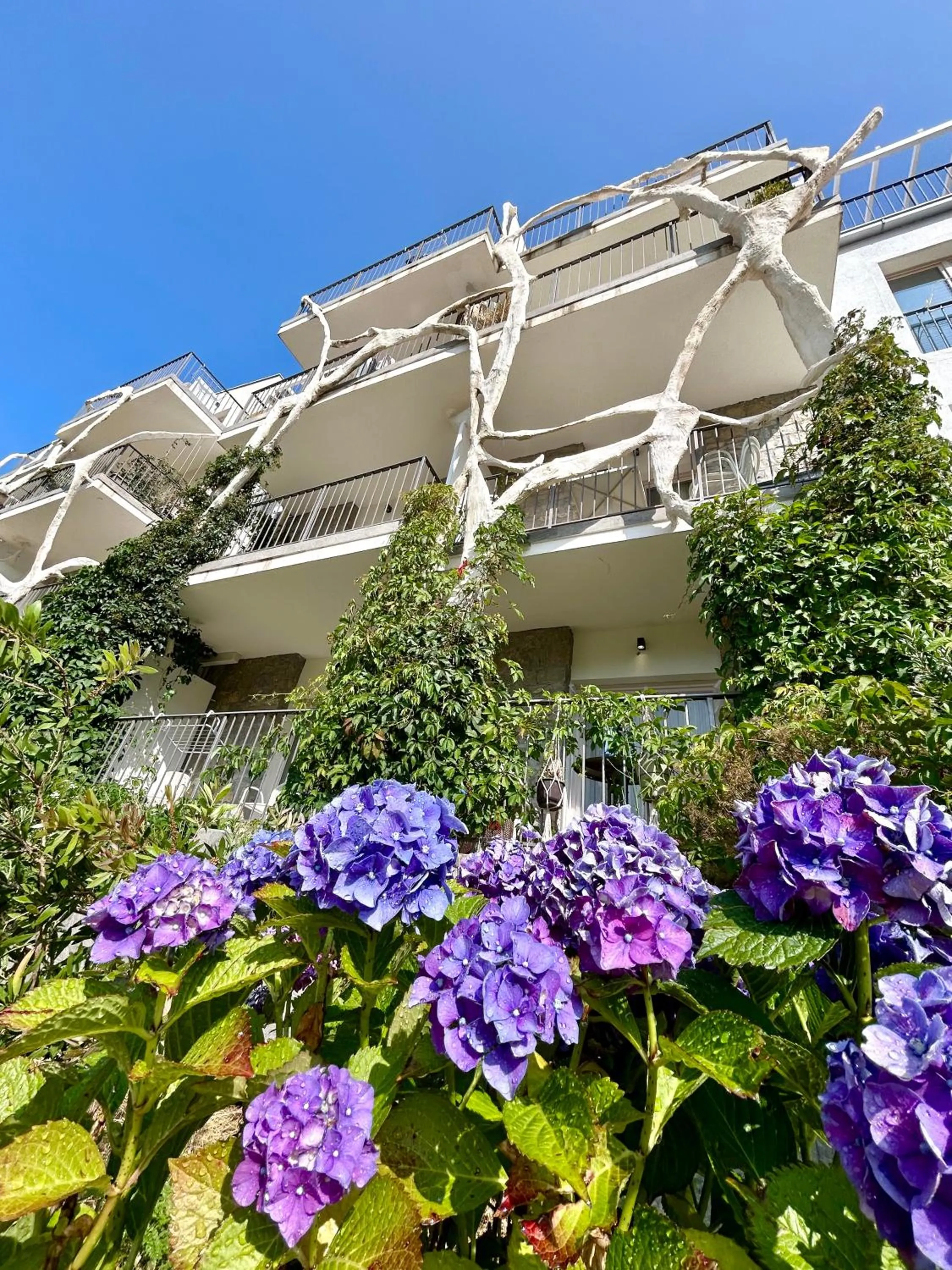 Most Oliva Resort Budva