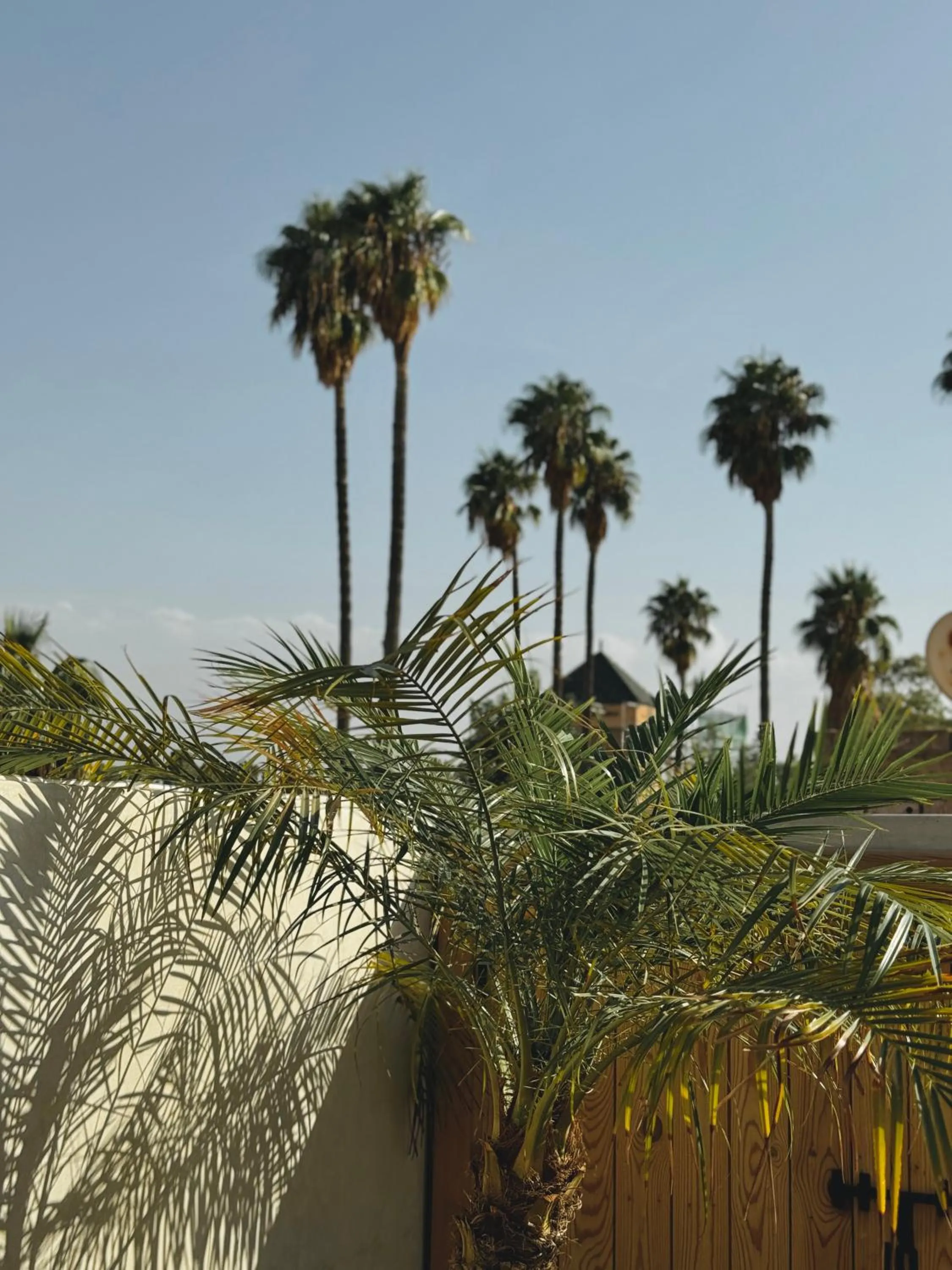 Riad El Khaeir - Piscine, Hamam & Spa