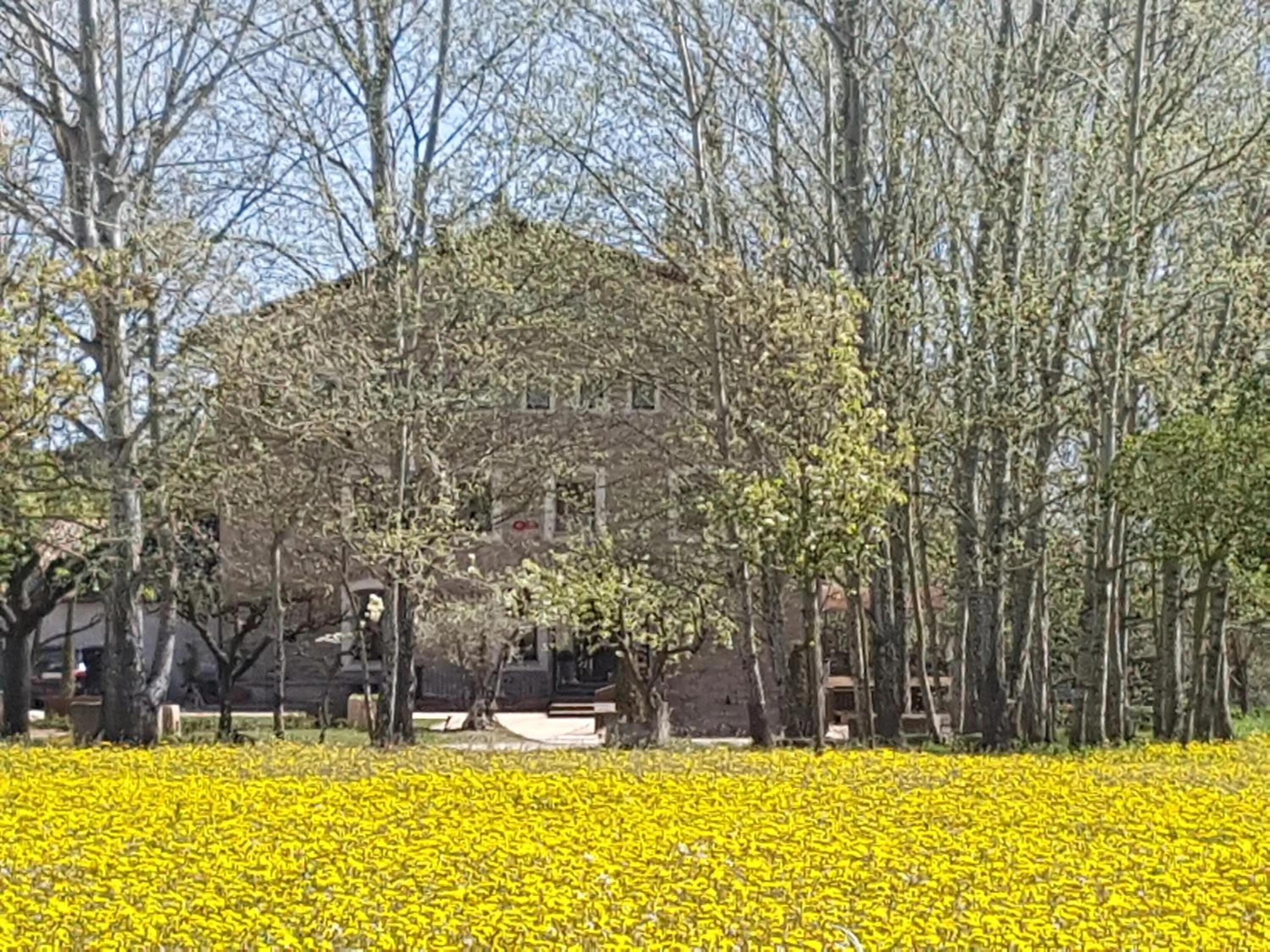 Natural landscape in Molí Blanc Hotel