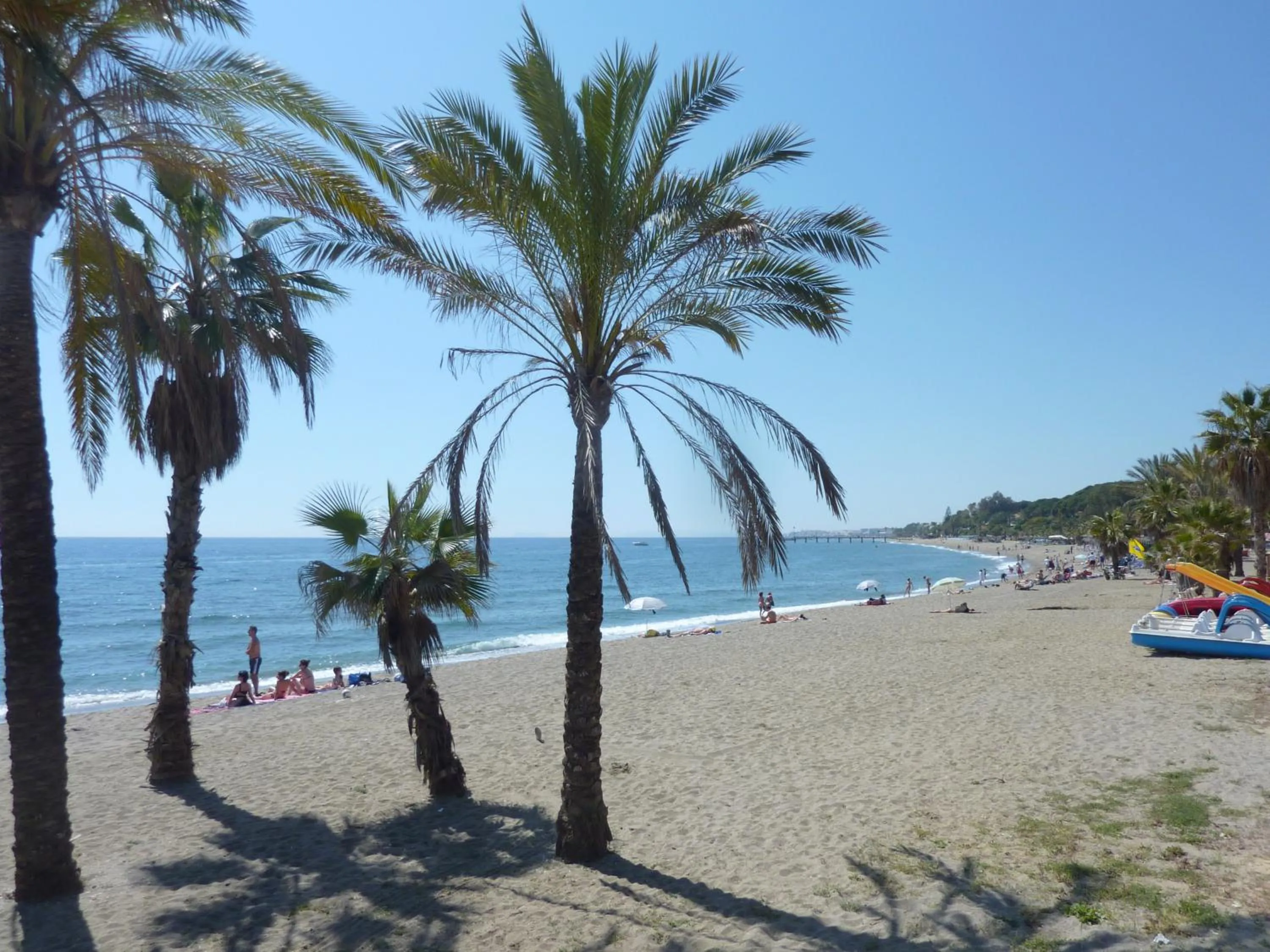 Area and facilities in Hostal Berlin