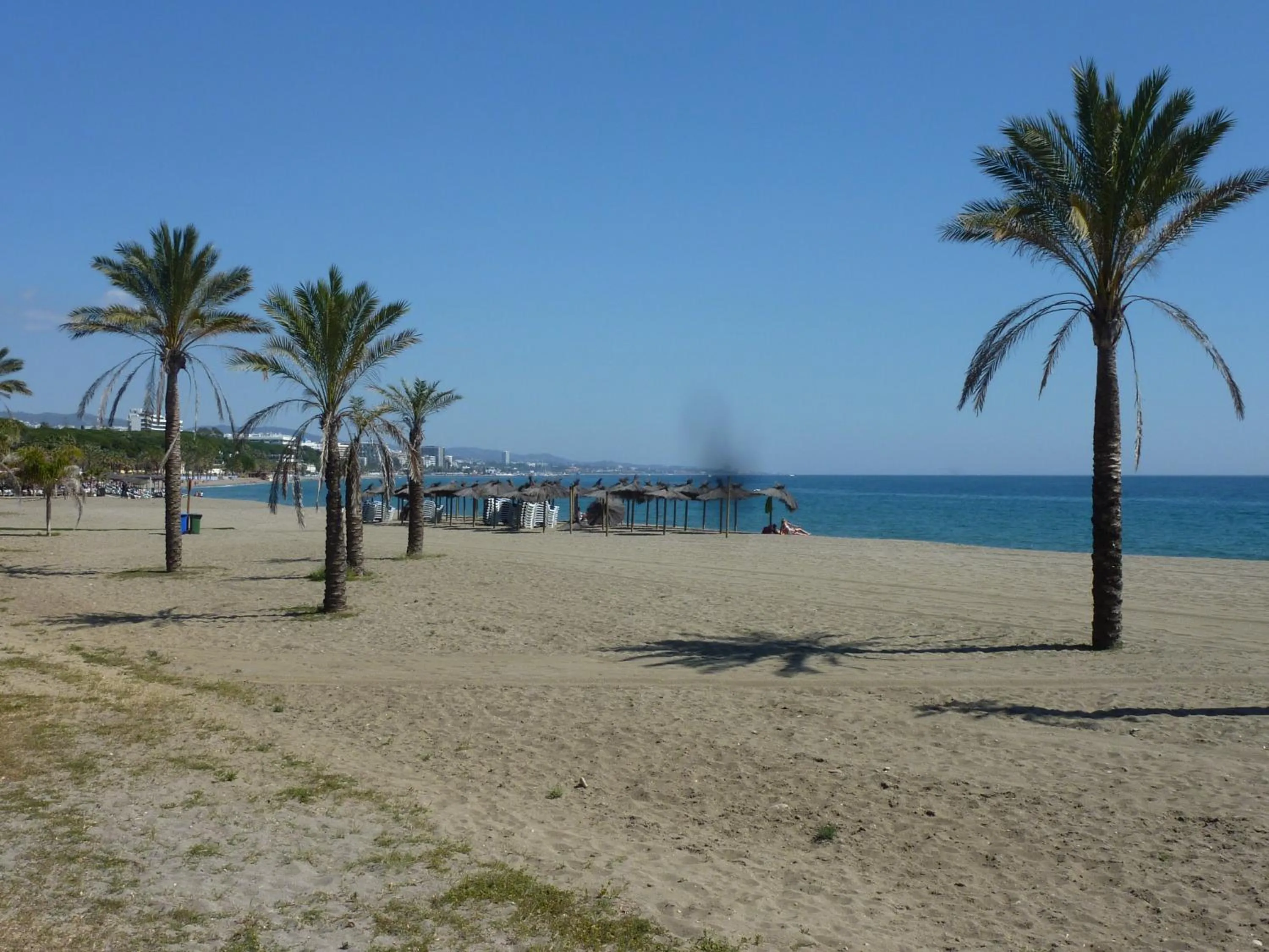 Area and facilities in Hostal Berlin