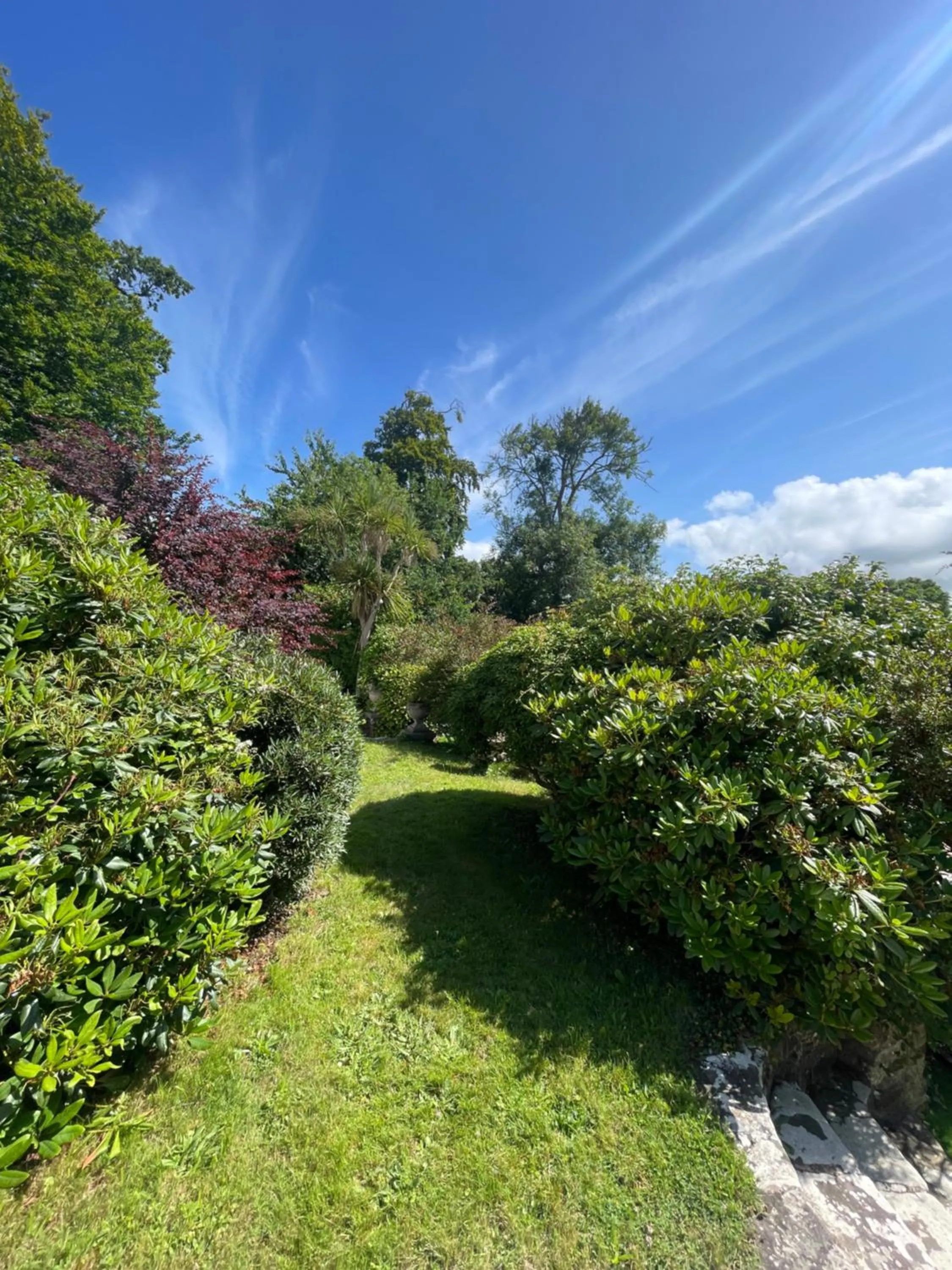 Garden in Durrant House Hotel