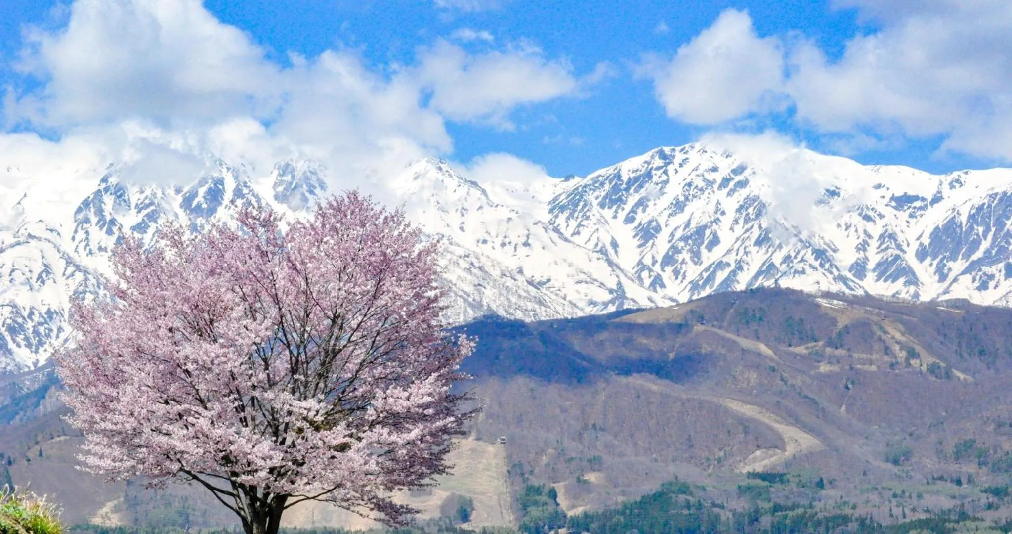 Off site in HOTEL LA VIGNE HAKUBA by Onko Chishin