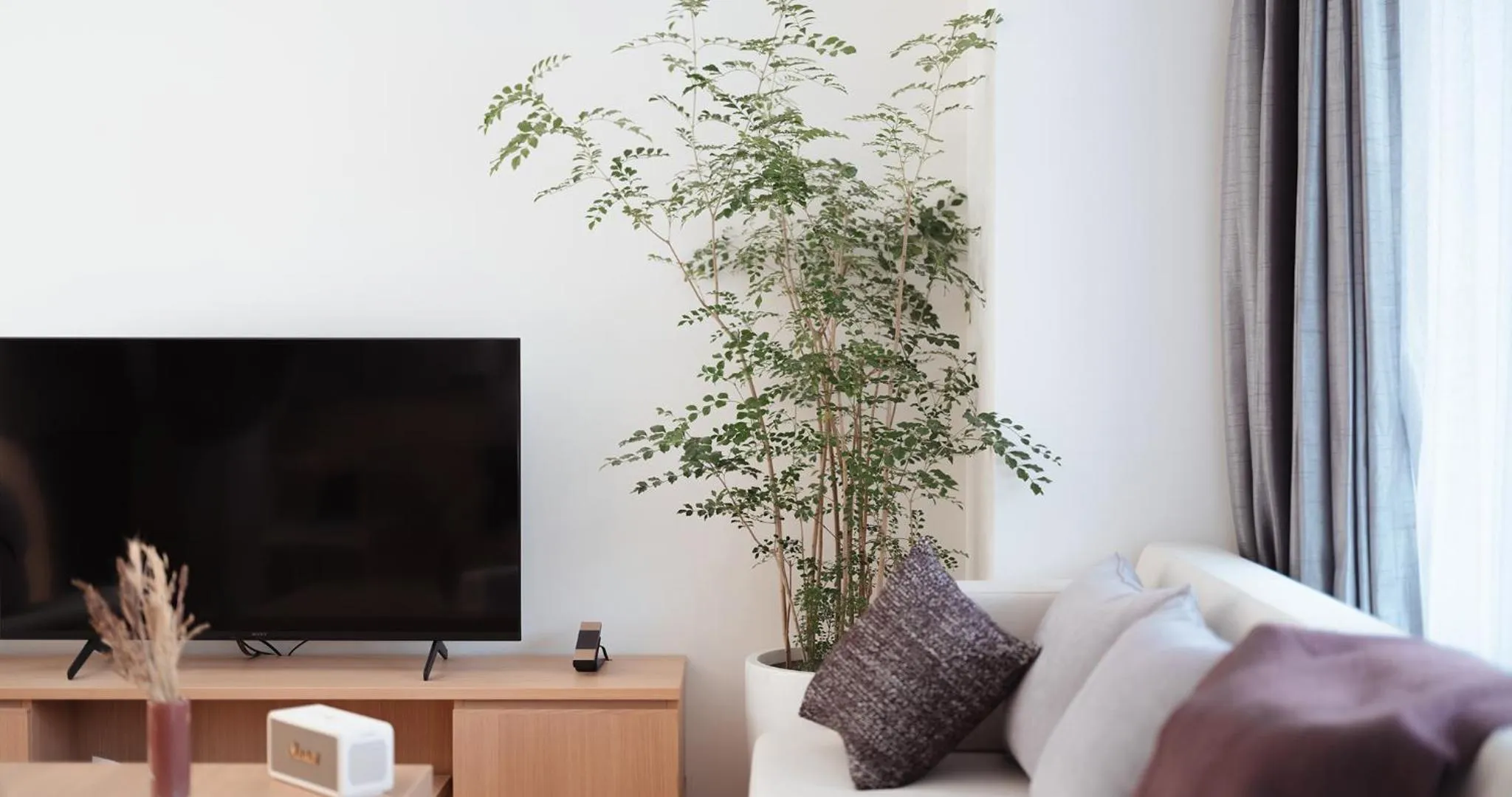 TV and multimedia in HOTEL LA VIGNE HAKUBA by Onko Chishin