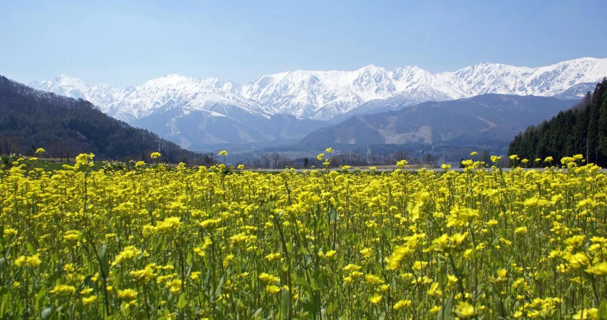 Off site in HOTEL LA VIGNE HAKUBA by Onko Chishin