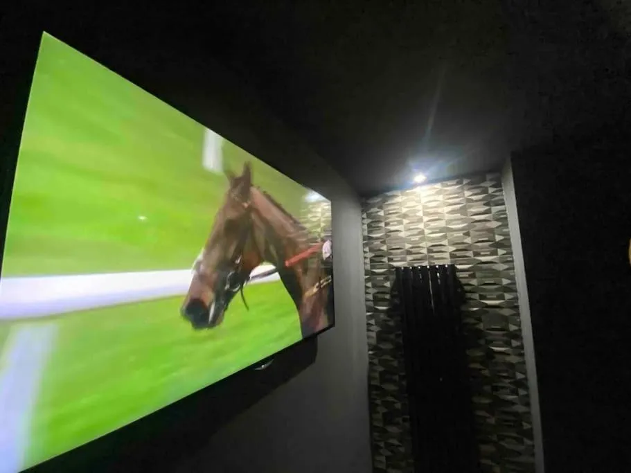 TV and multimedia in Ivy Mount Boutique