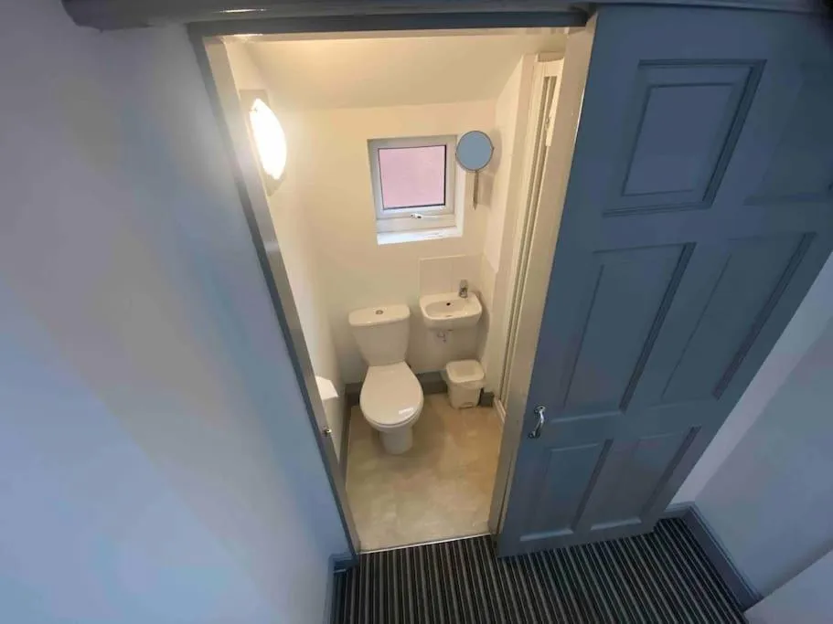 Toilet in Ivy Mount Boutique