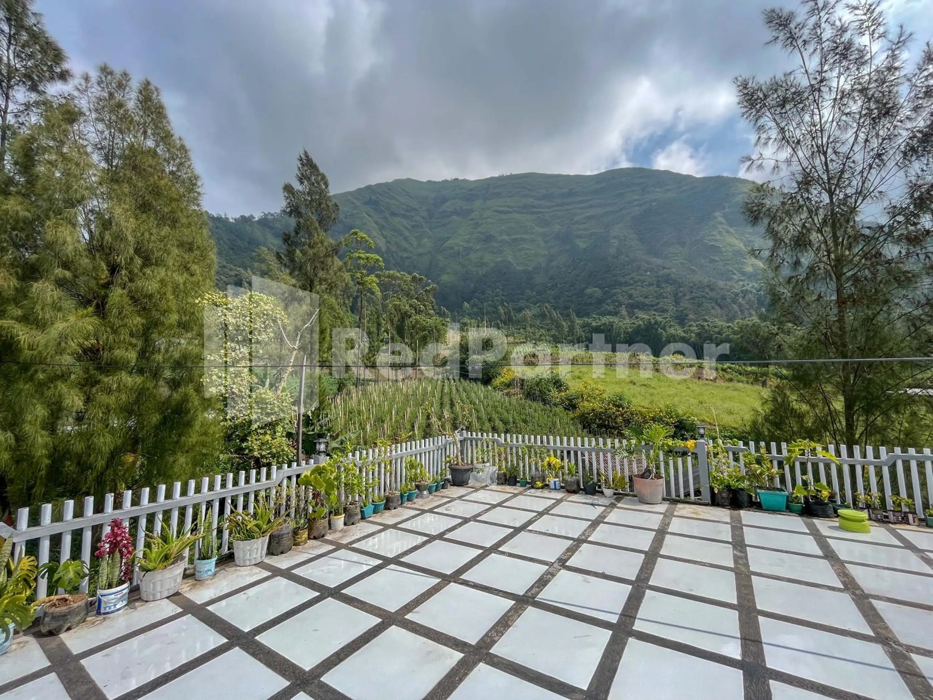 Mountain view in Family Homestay Syariah Bromo Mitra RedDoorz