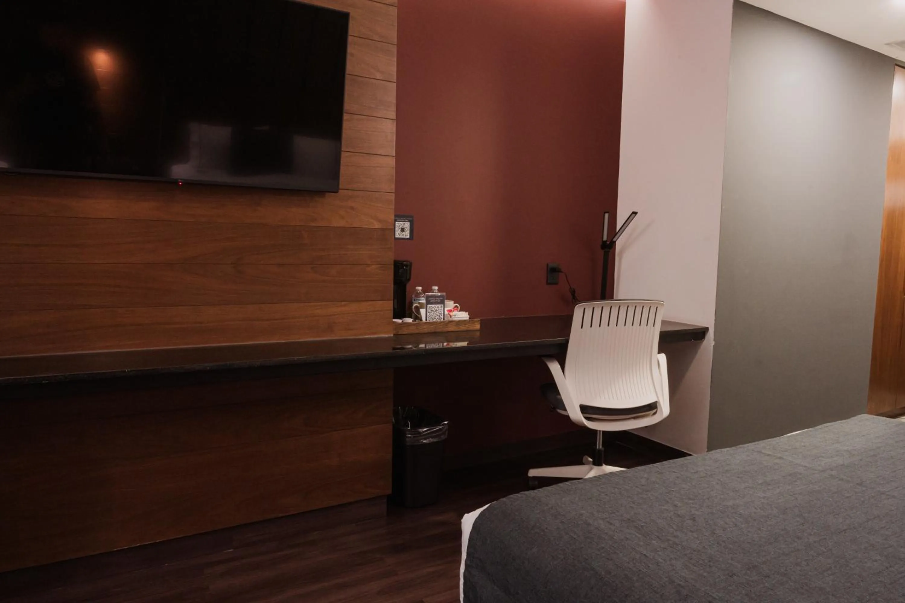 TV and multimedia in Hotel Noite Business Class